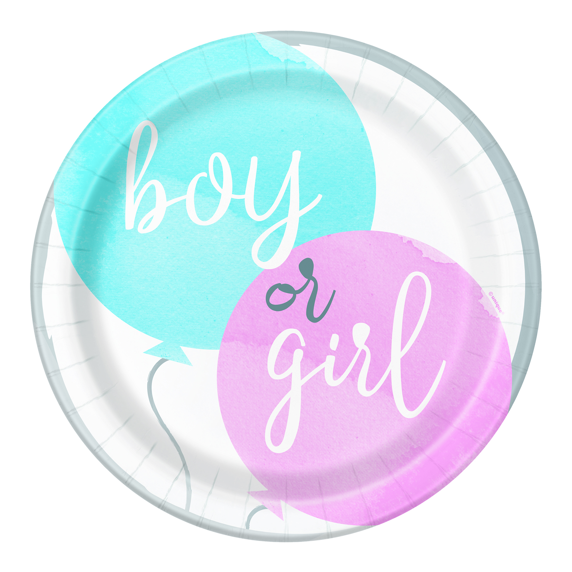 Gender Reveal Party Tableware & Decorations - 16 Guests
