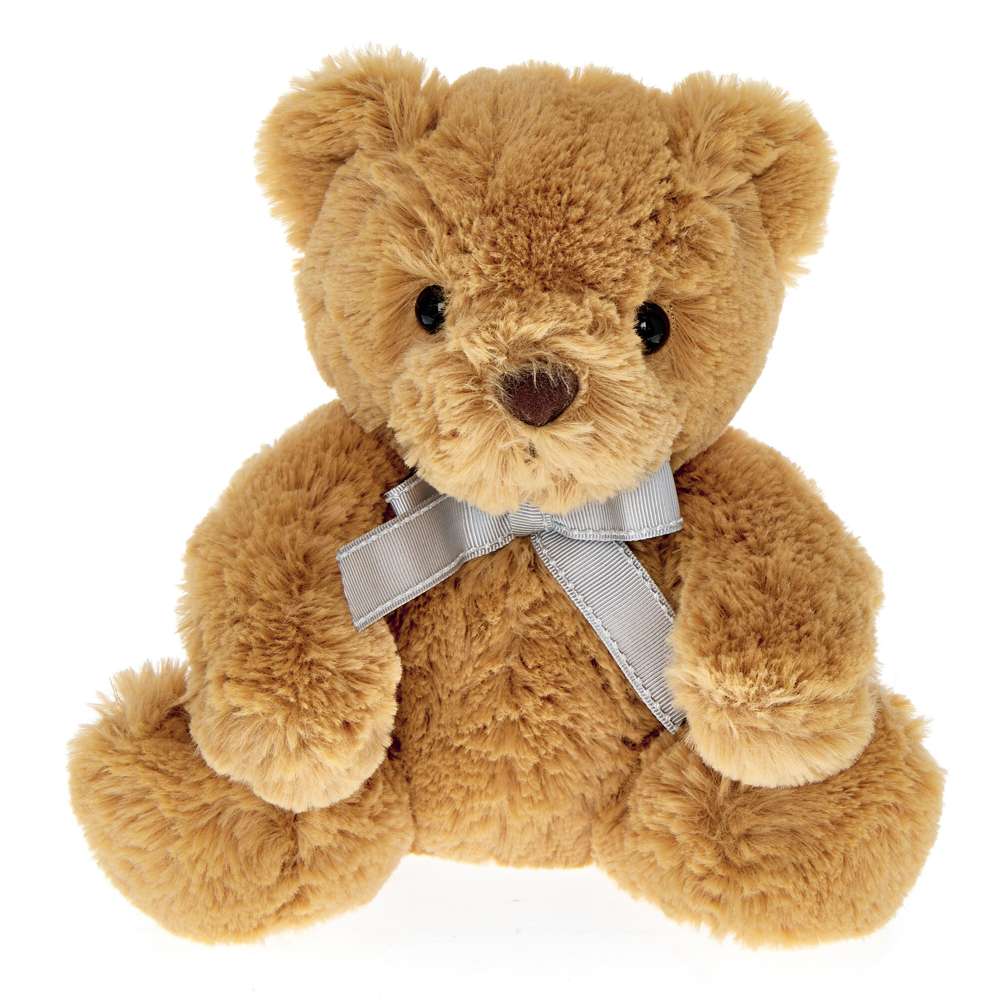 Small light store brown teddy bear