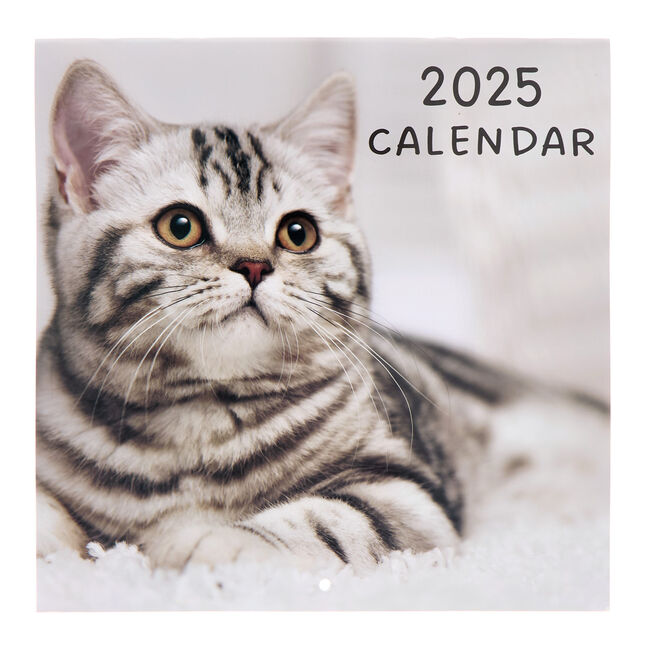 Cats 2025 Square Calendar