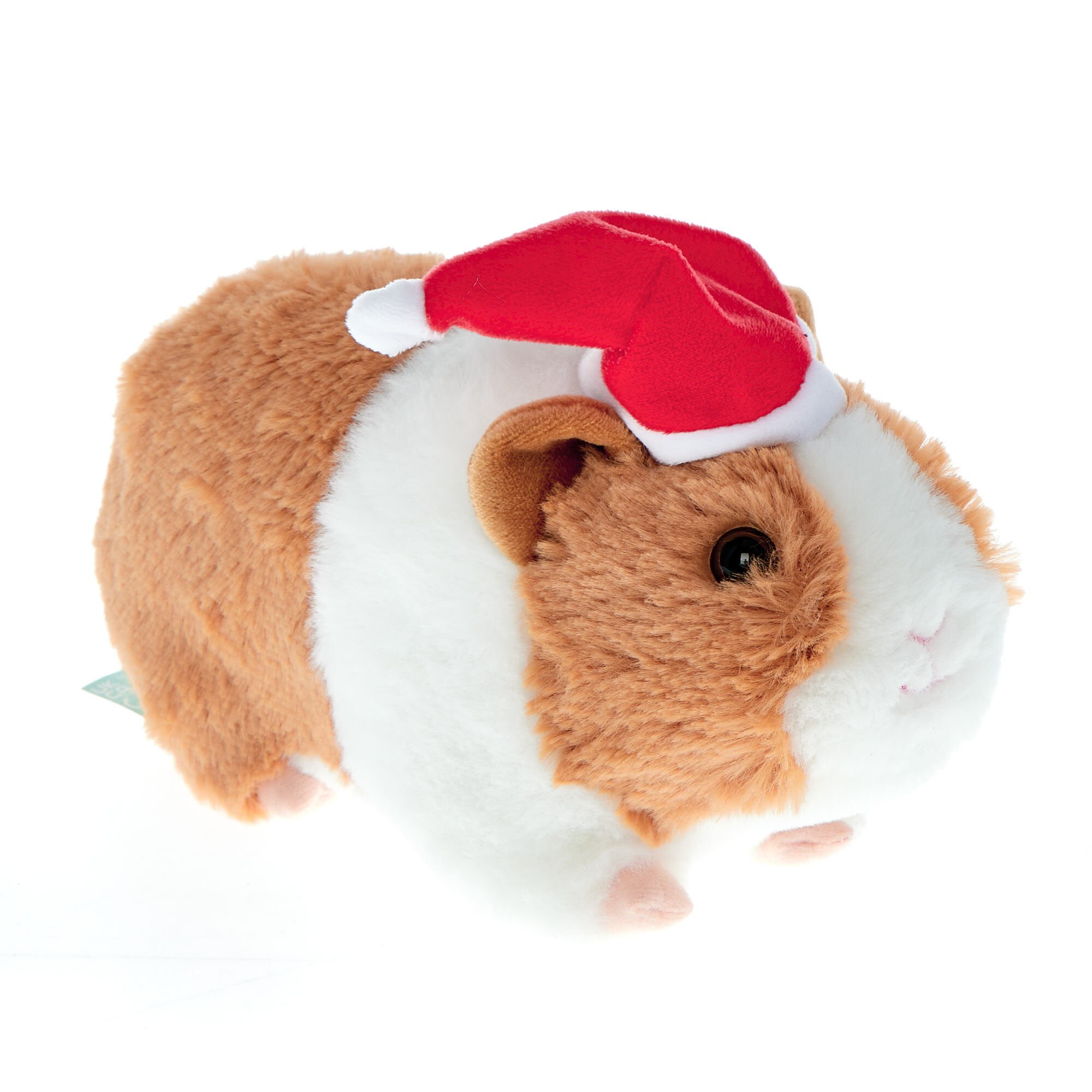 Best guinea outlet pig toys uk