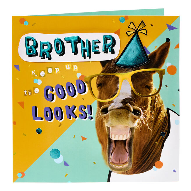 Brother Good Looks Horse Birthday Card