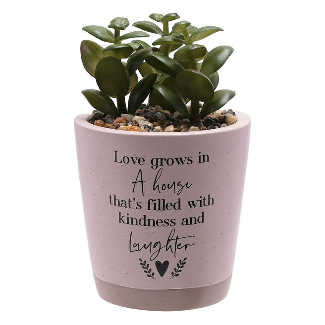 Love Grows In A House Artificial Succulent