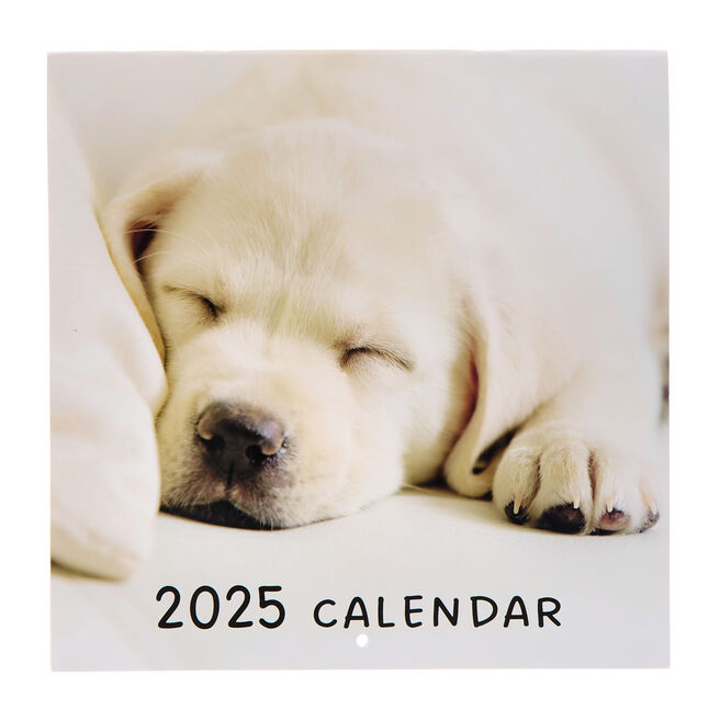 Dogs 2025 Square Calendar