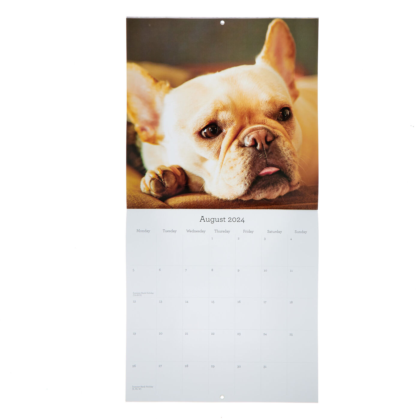 Buy Dogs 2024 Square Calendar for GBP 2.99 Card Factory UK