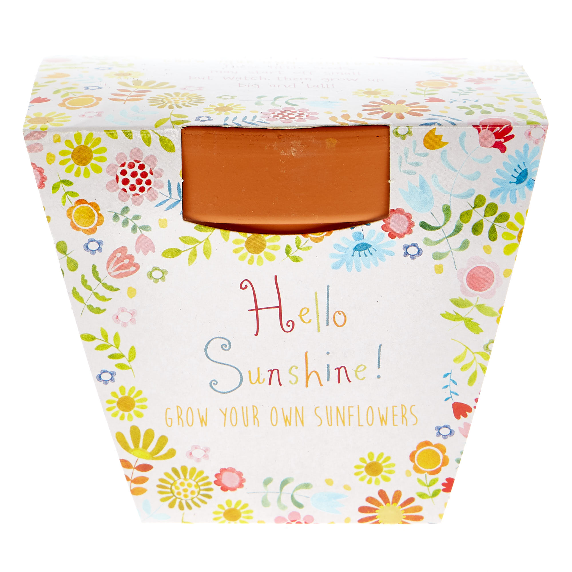 Hello Sunshine! Grow Your Own Sunflowers Set