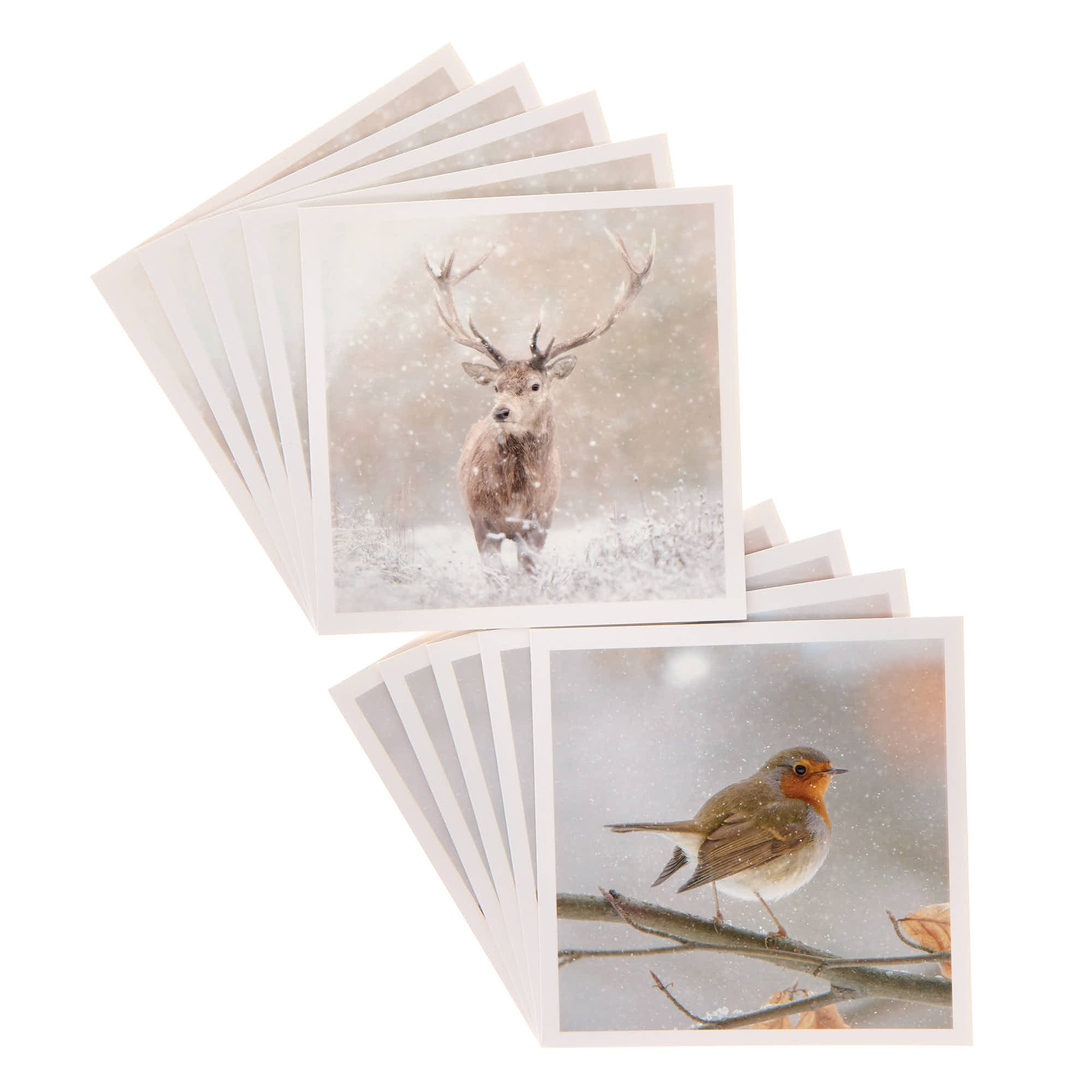 18 Charity Christmas Cards - Deer & Robin (2 Designs)