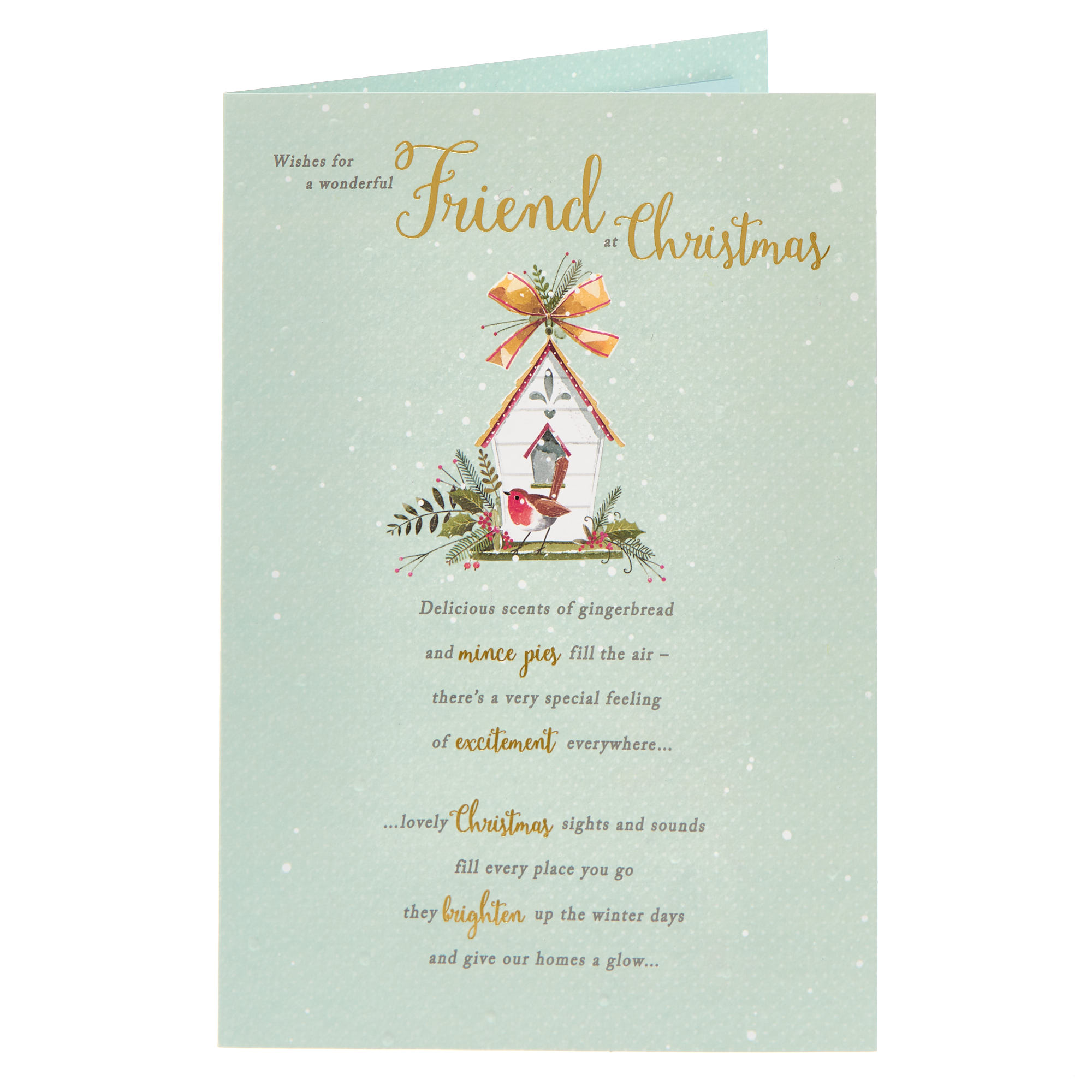 Friend Bird House Christmas Card