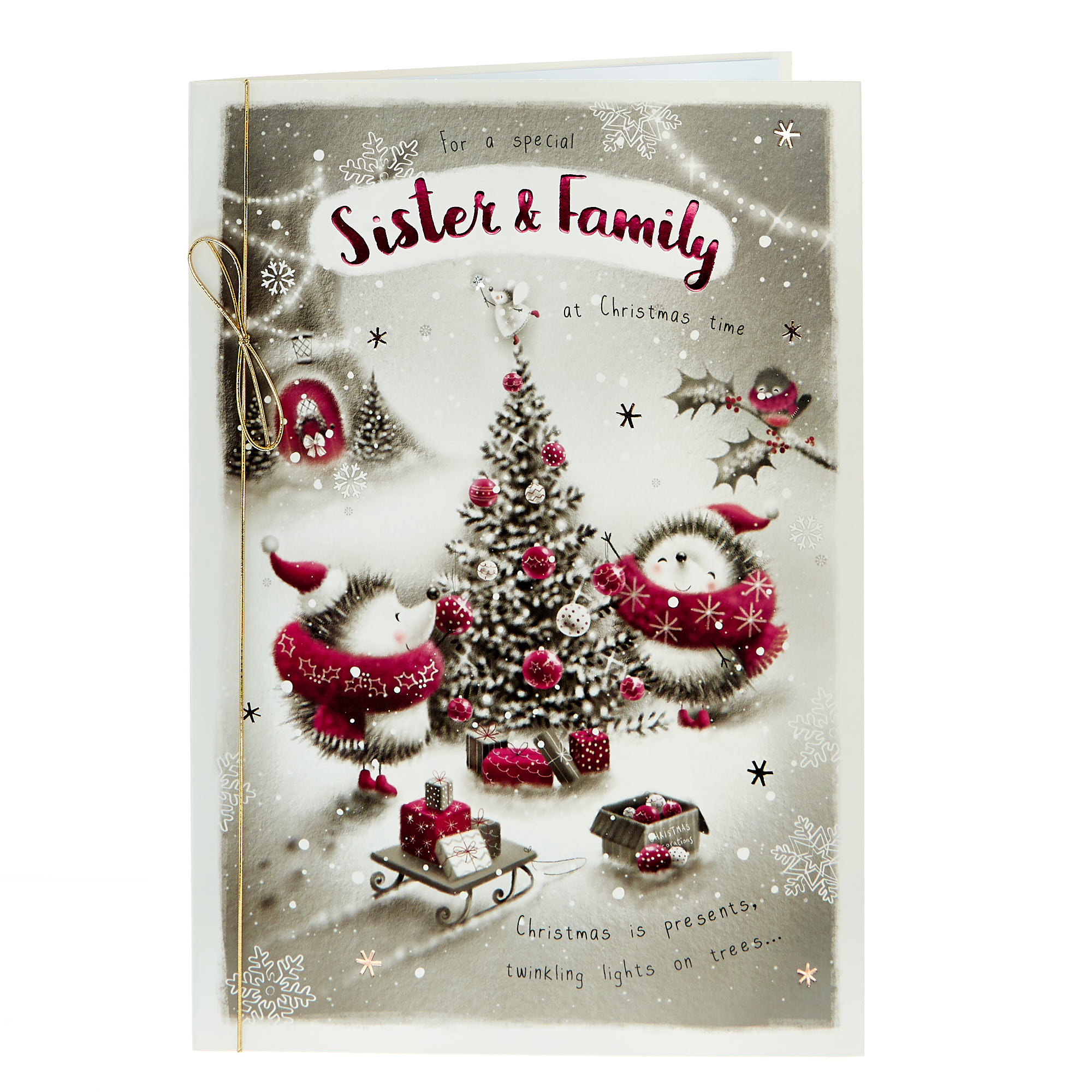 Christmas Card - A Special Sister & Family Hedgehogs