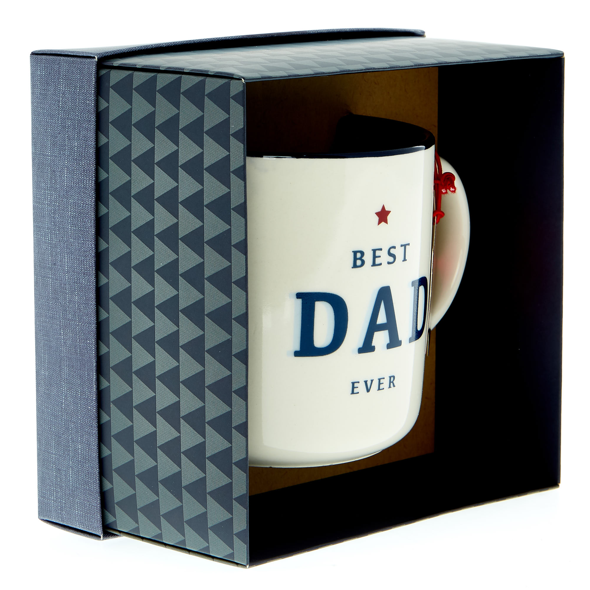 Best Dad Ever Mug