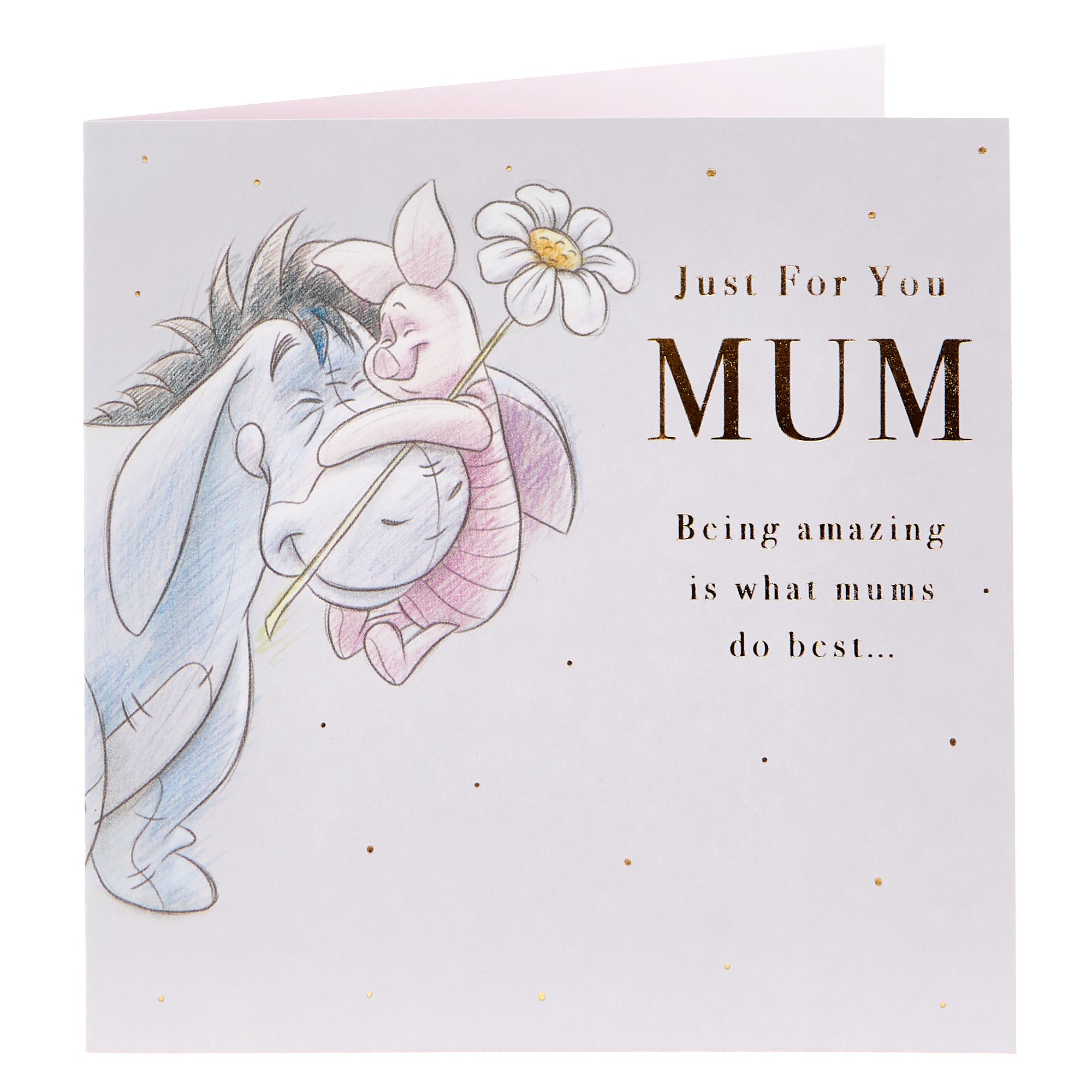 Mum Eeyore & Piglet Mother's Day Card