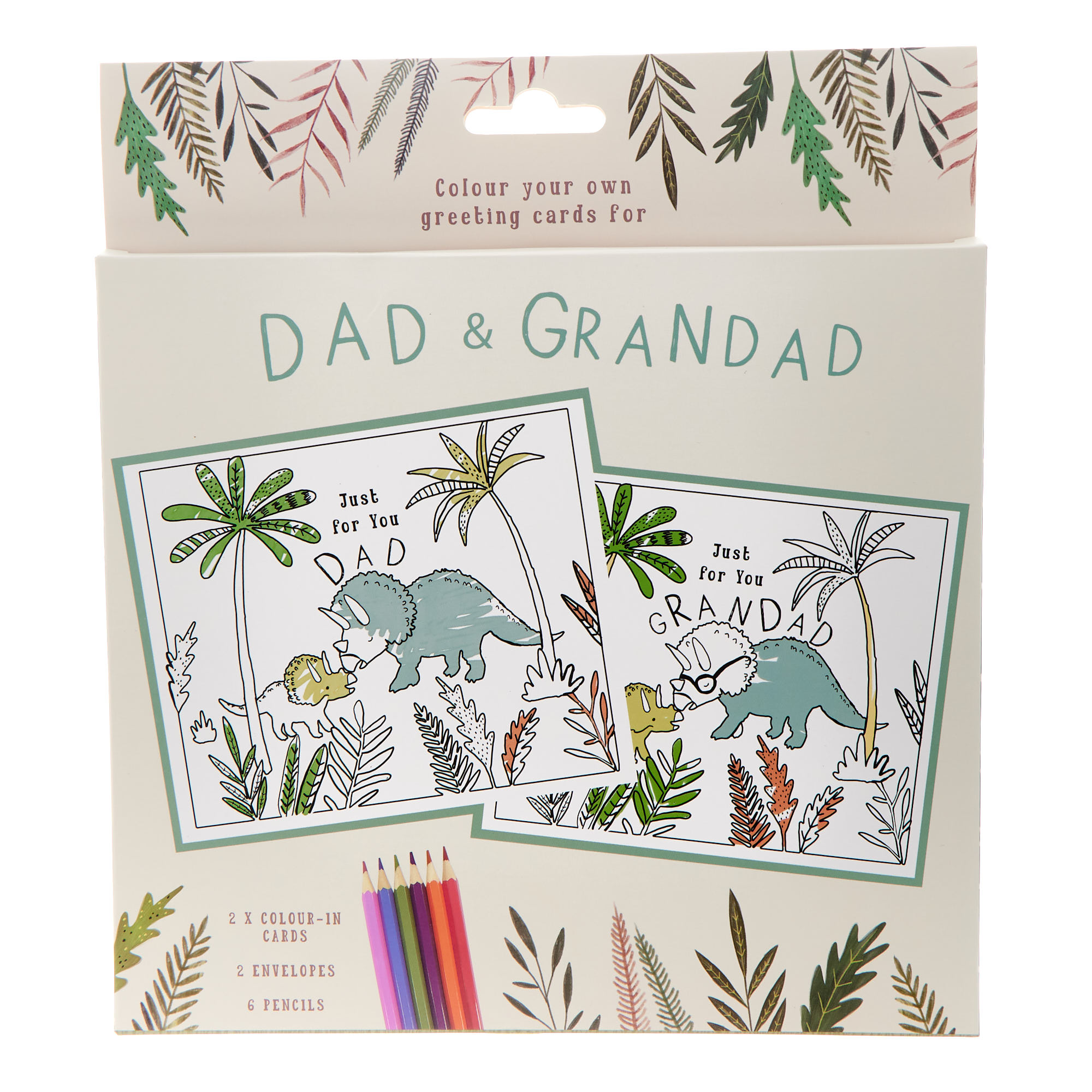 Dad & Grandad Colour Your Own Greeting Cards 