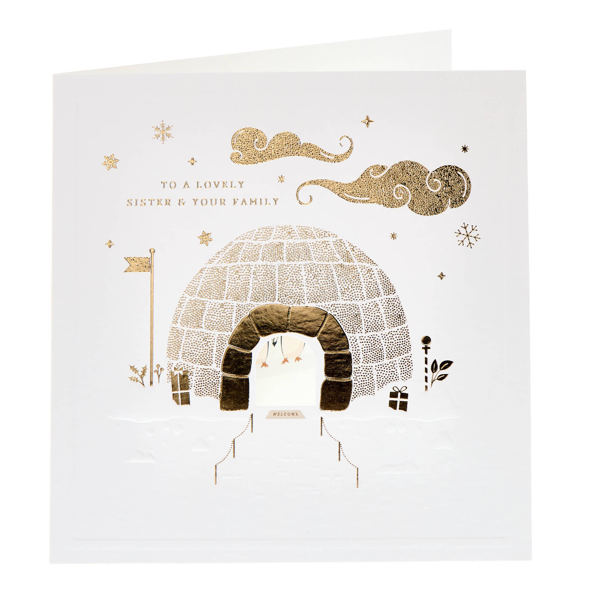 Sister & Family Igloo Christmas Card