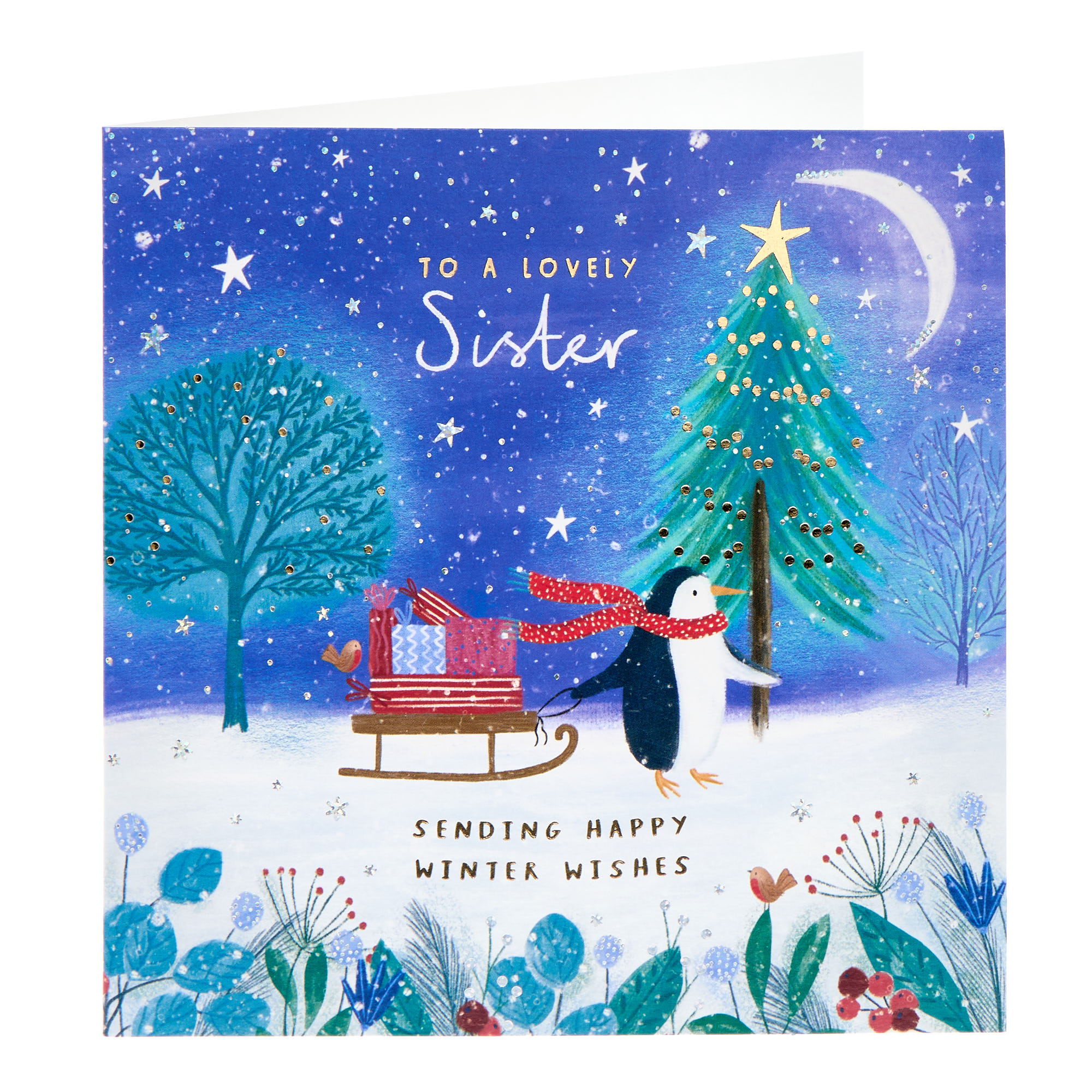 Lovely Sister Penguin & Sledge Christmas Card