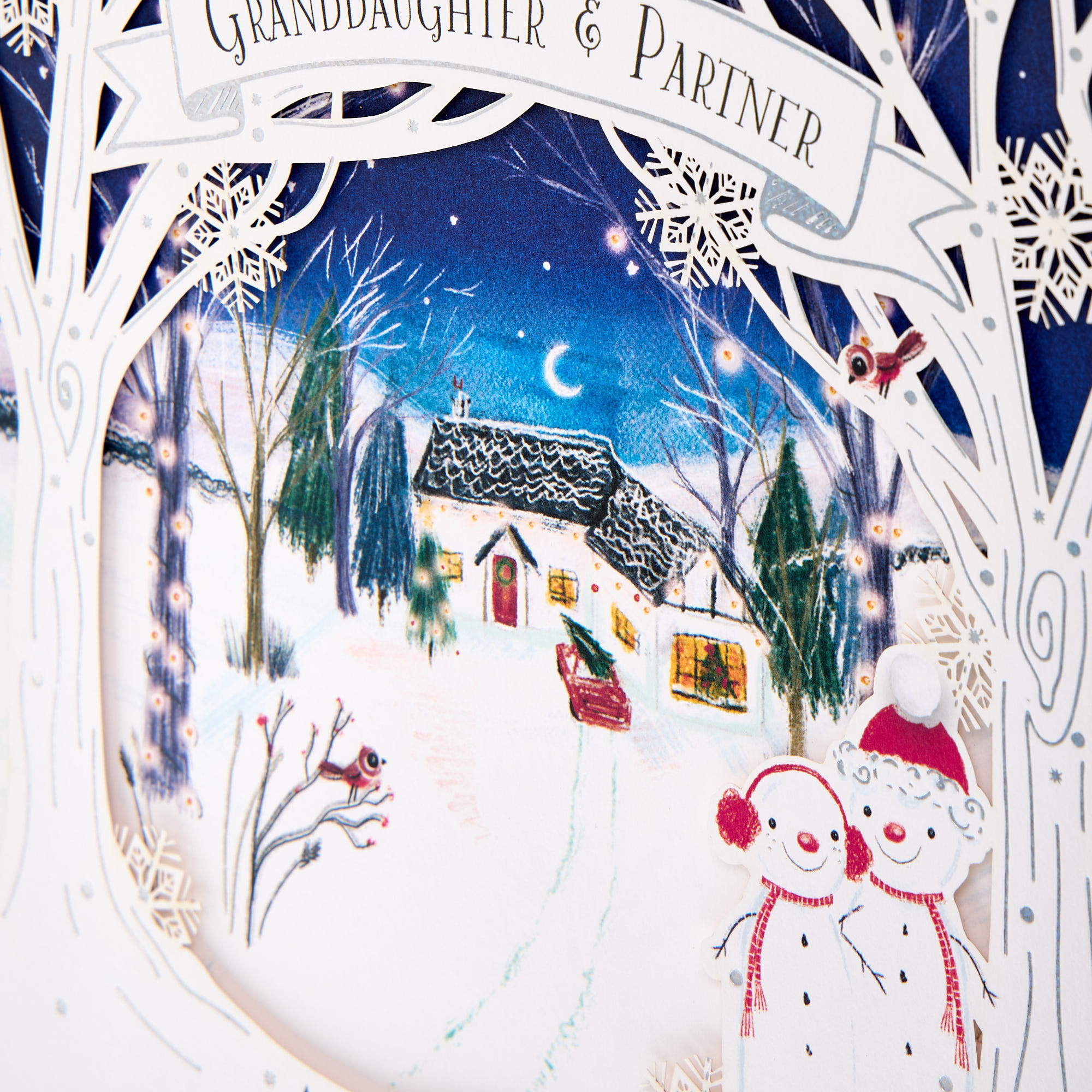 Granddaughter & Partner Snowy House Christmas Card