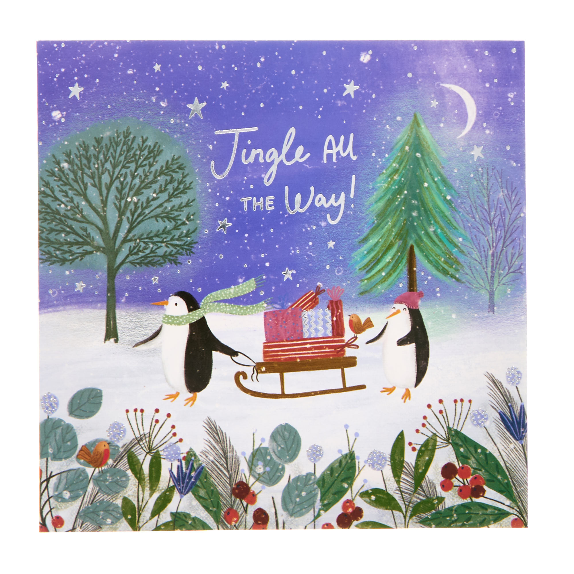 16 Charity Christmas Cards - Penguins (2 Designs)