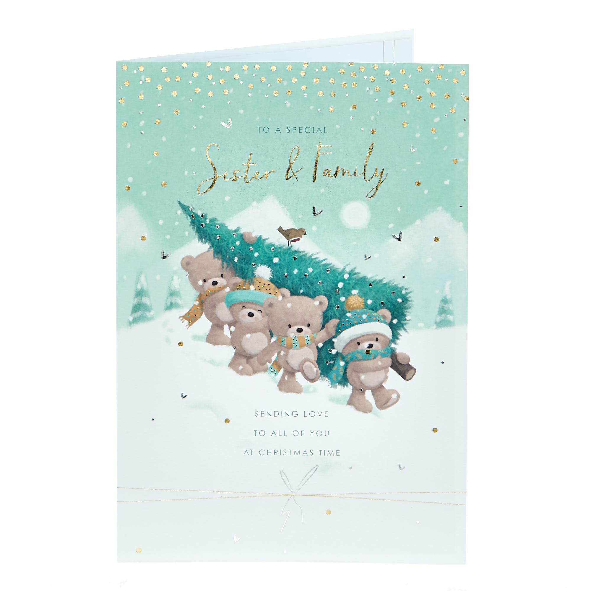 Hugs Christmas Card - Sister & Your Family 