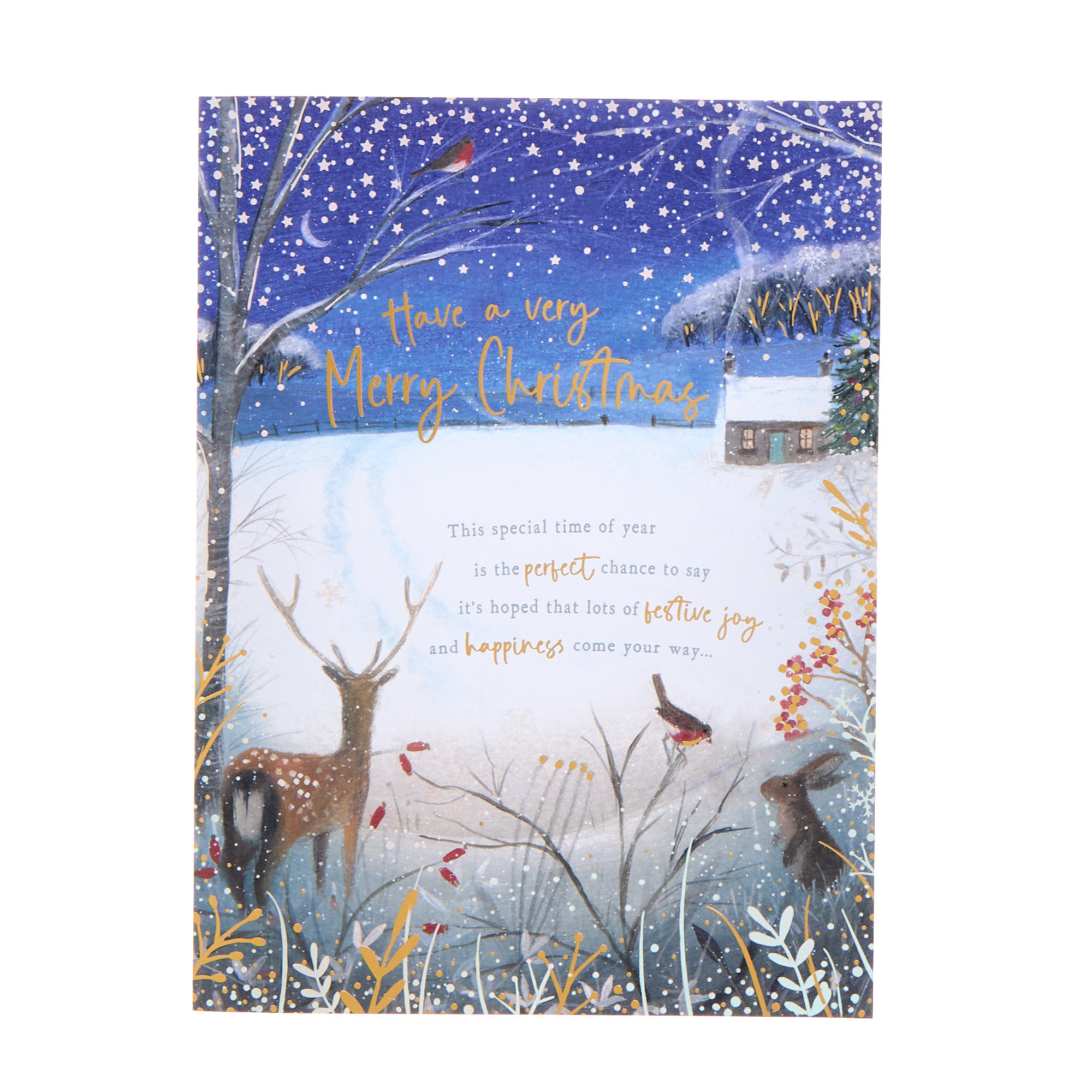 Deluxe Deer & Lake Charity Christmas Cards - Pack of 10 (2 Designs)