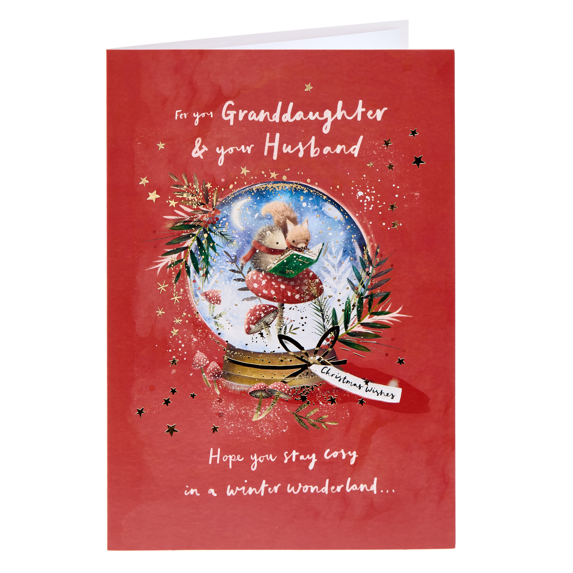 Granddaughter & Your Husband Cosy Christmas Card