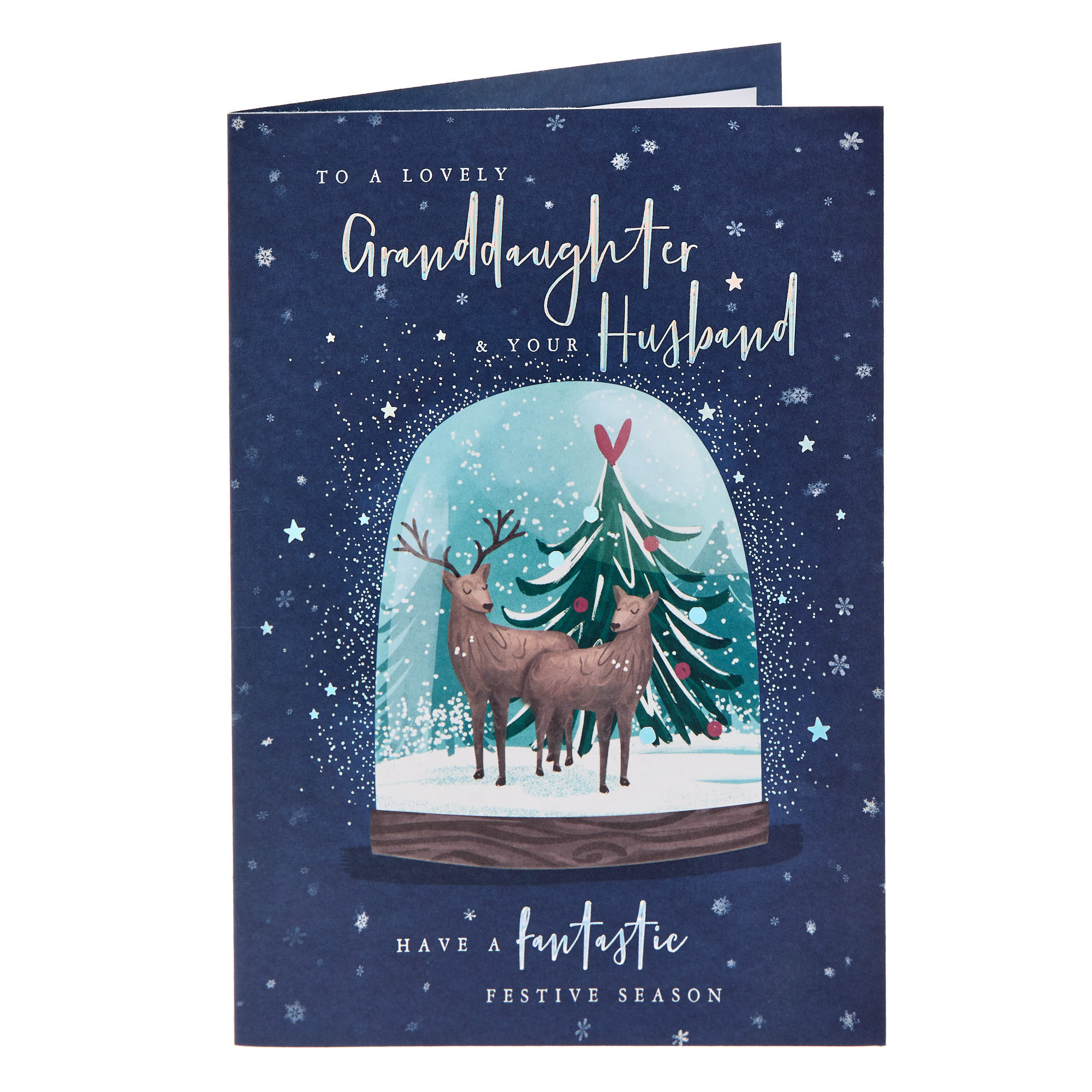 Granddaughter & Husband Snowglobe Christmas Card