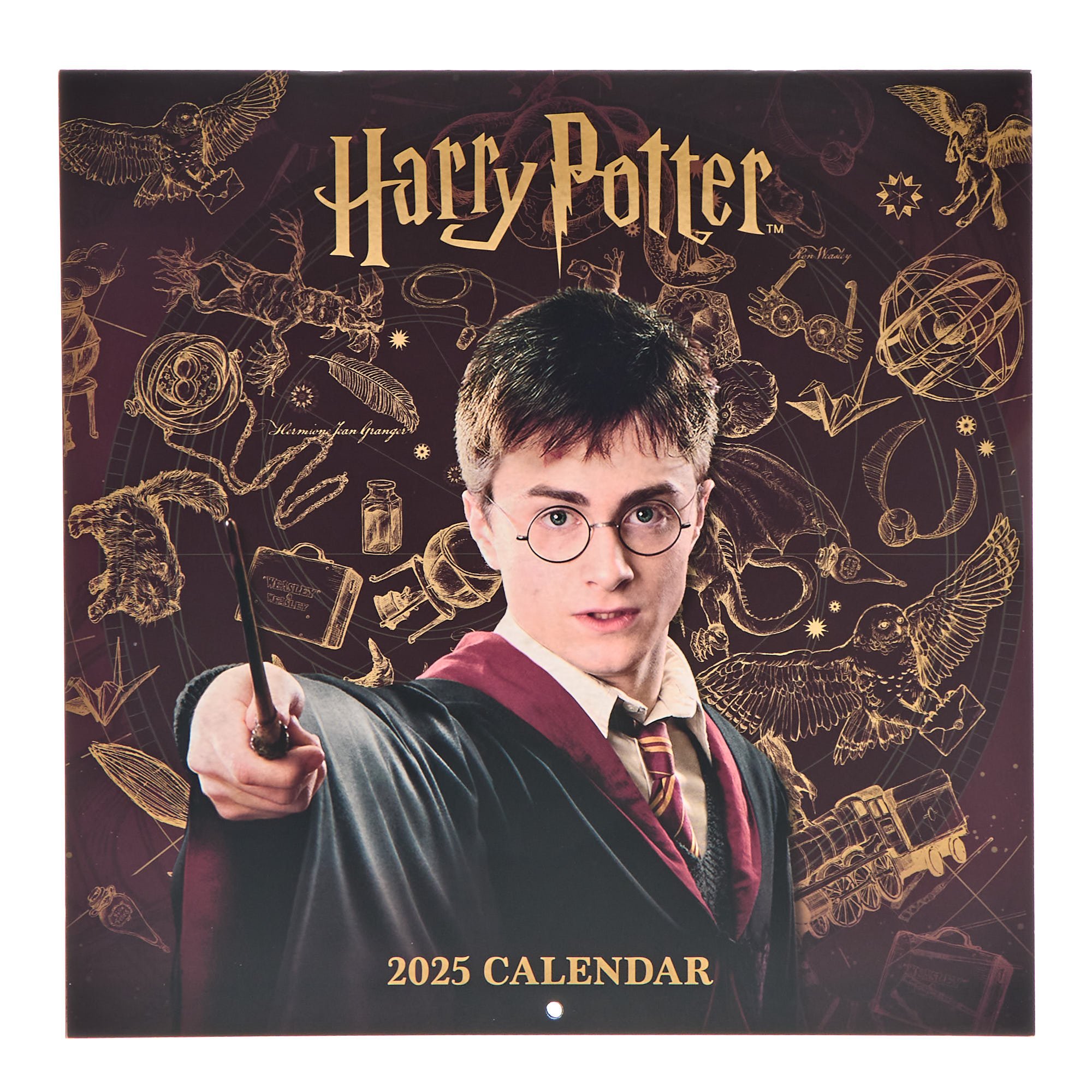 Harry Potter 2025 Square Wall Calendar