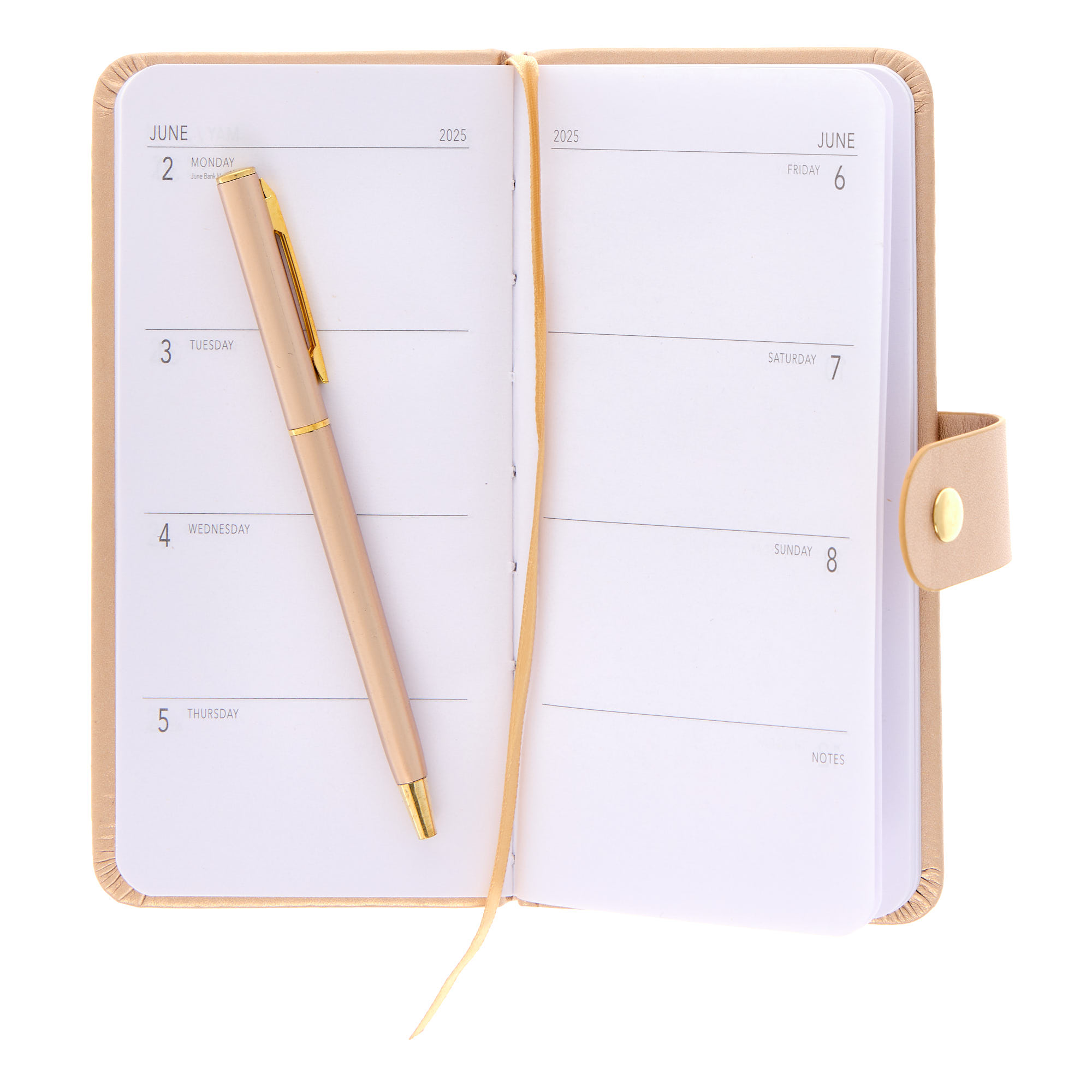 Gold Slim 2025 Diary with Pen