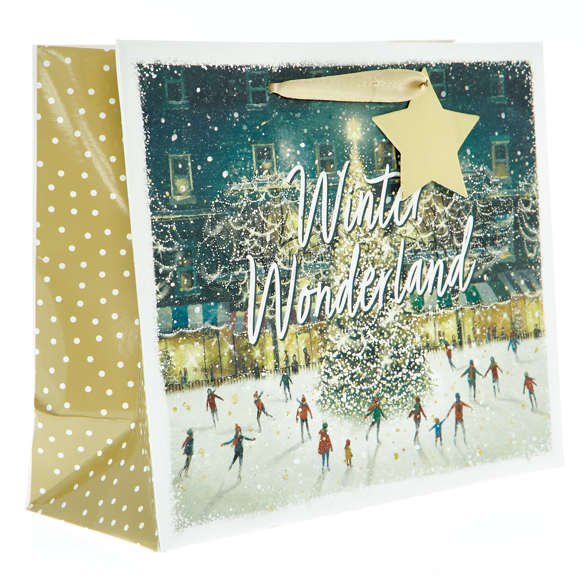 Medium Landscape Winter Wonderland Christmas Gift Bag