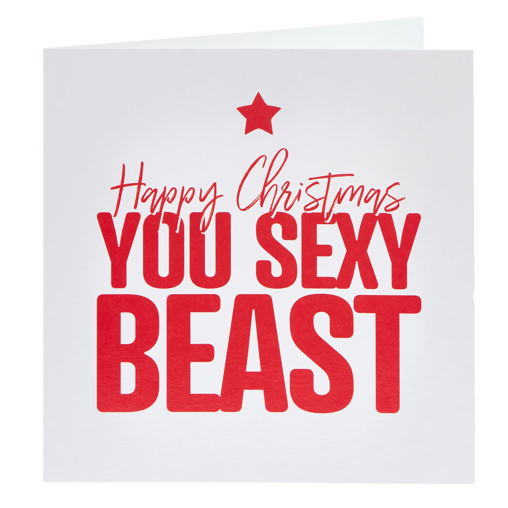 You Sexy Beast Christmas Card