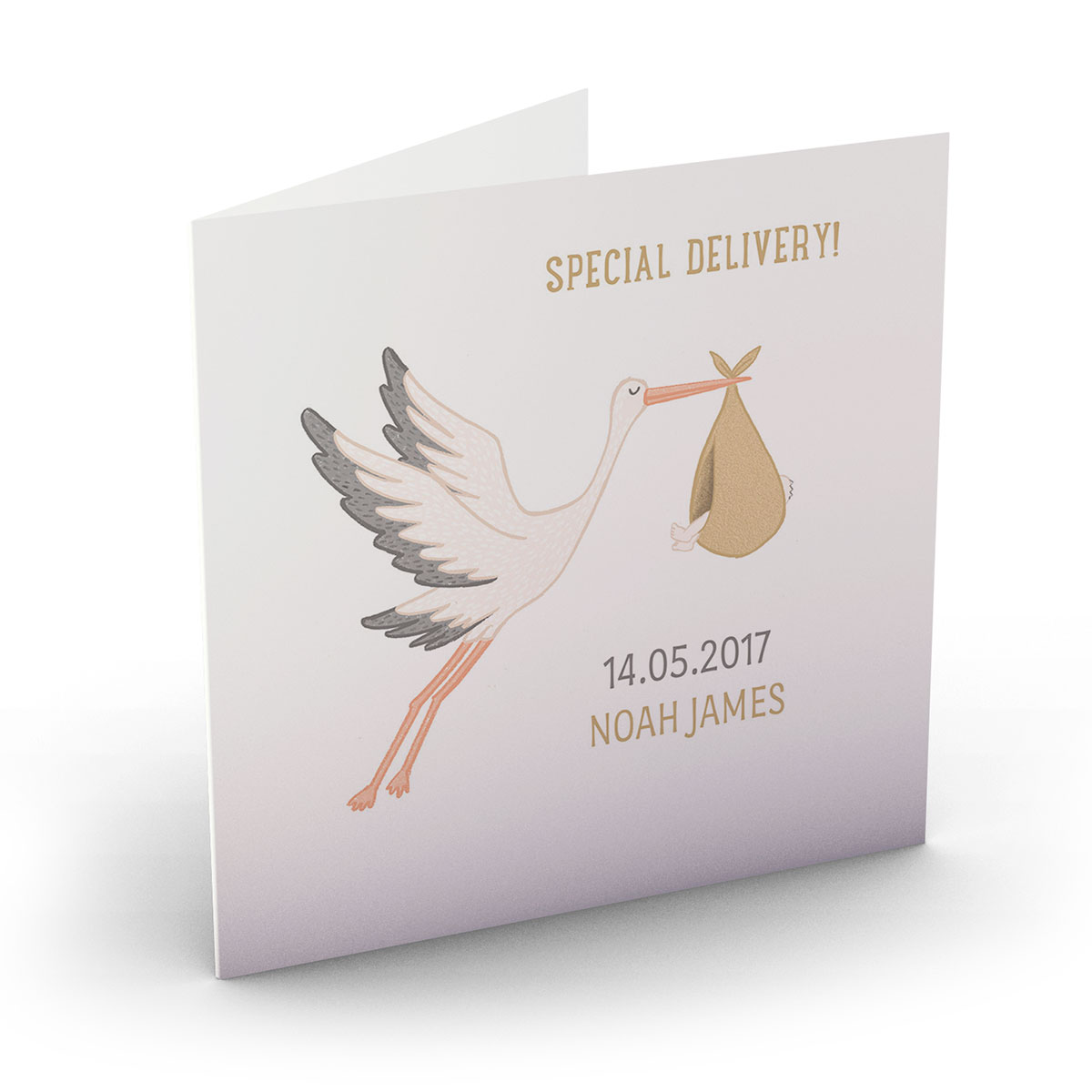 Buy Personalised New Baby Card - Special Delivery Stork 