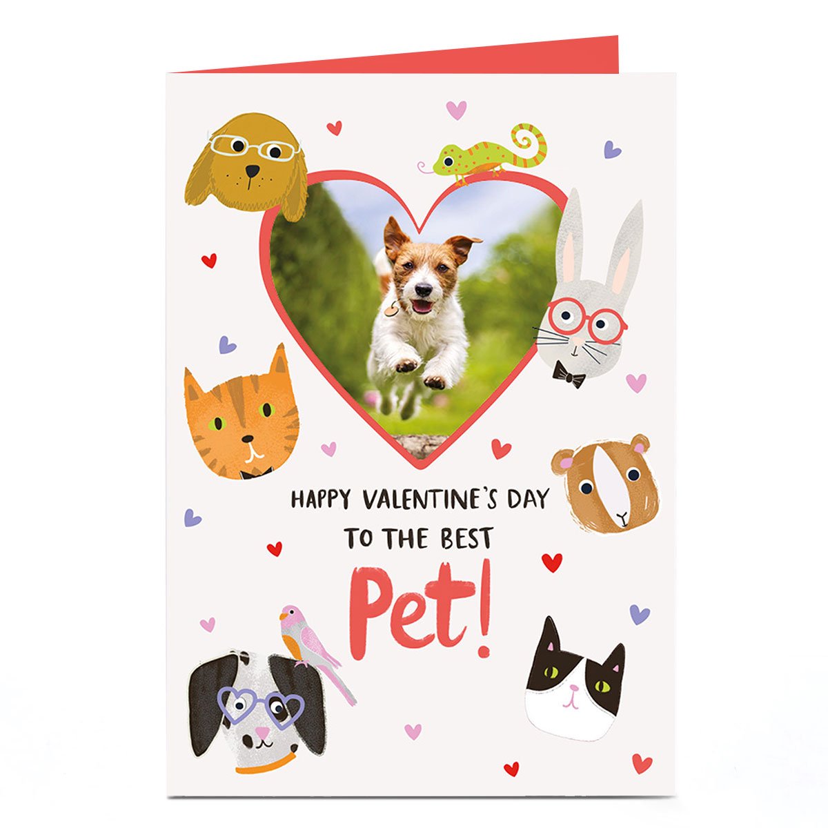 Photo Valentine's Day Card - To The Best Pet