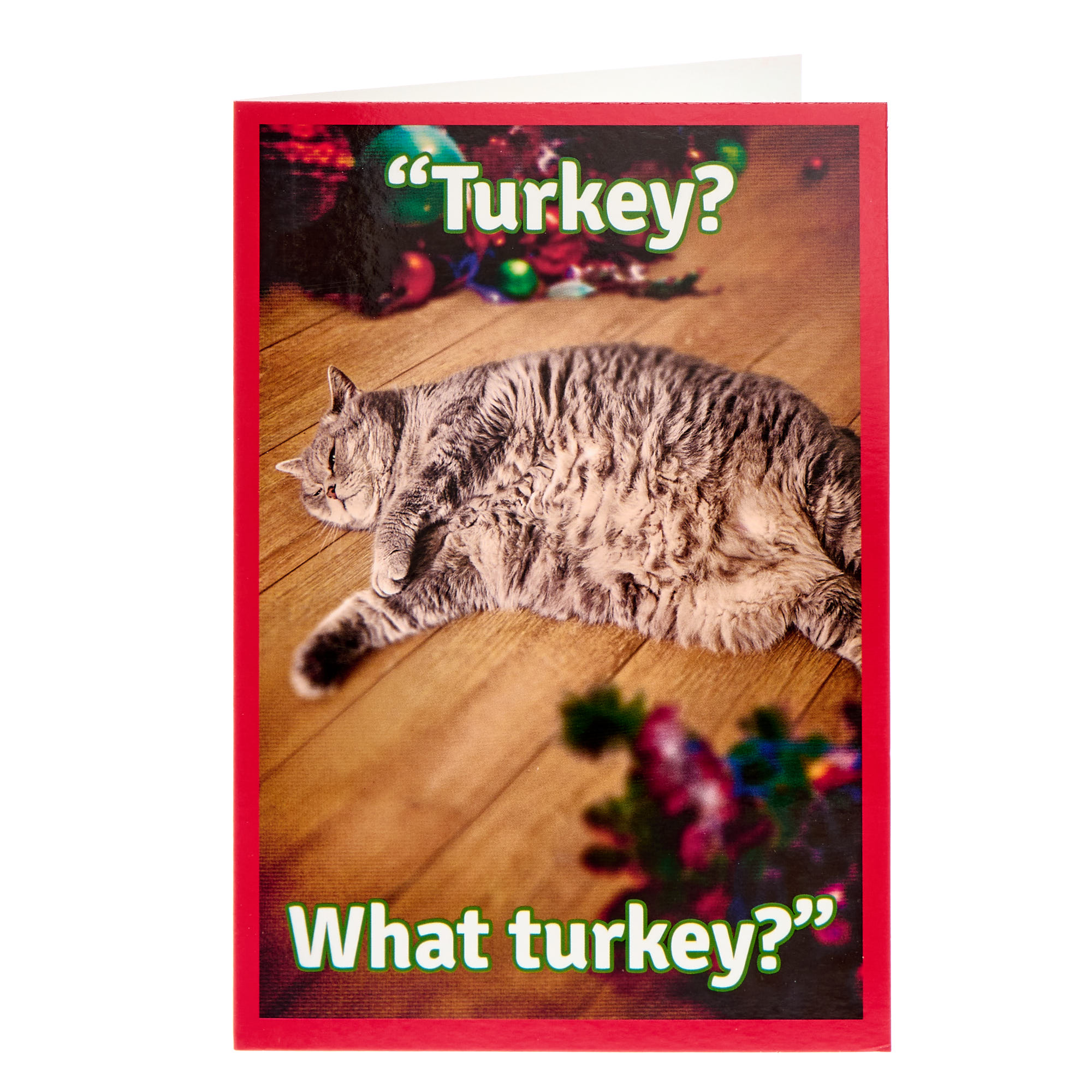 Turkey? What Turkey? Christmas Card