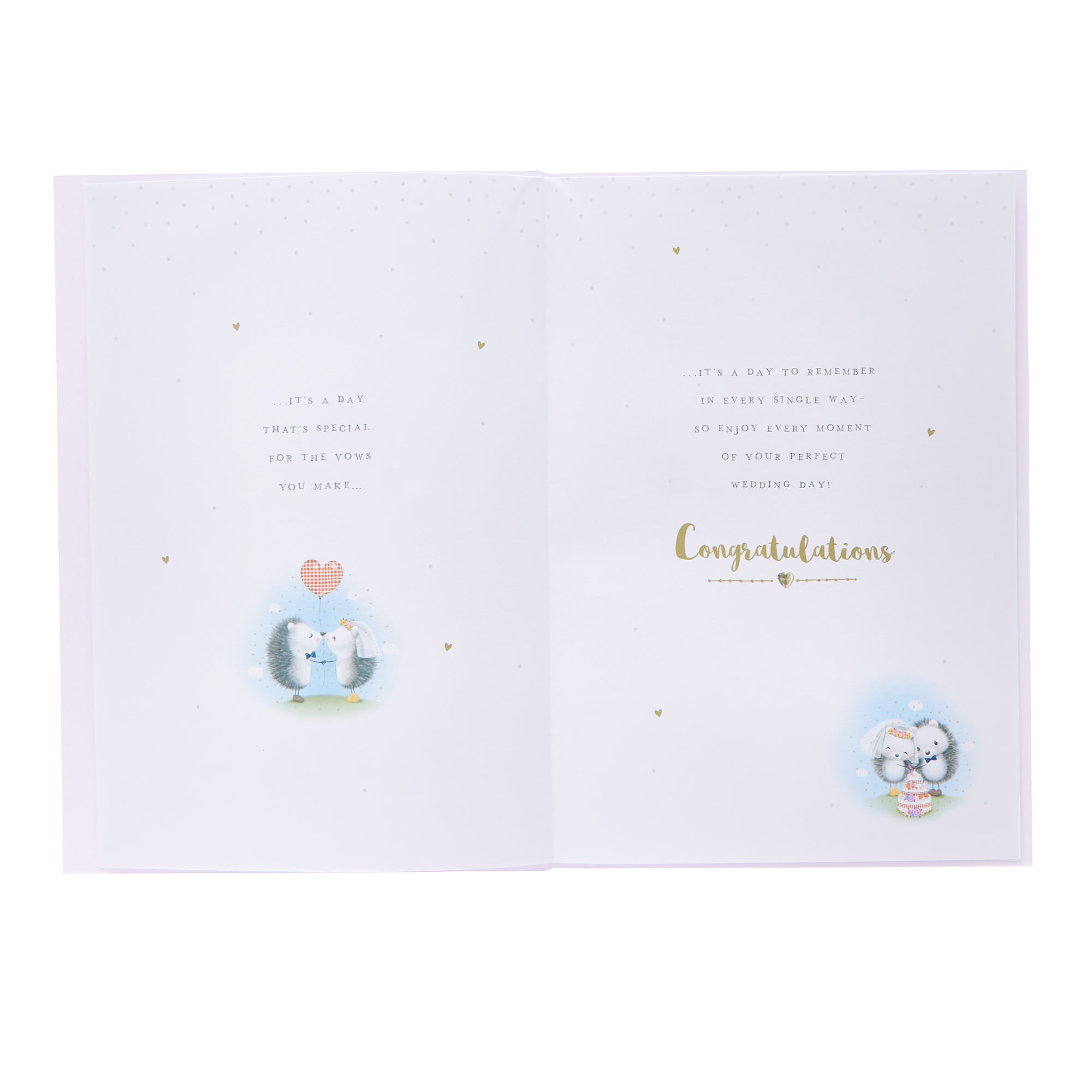 Hedgehog Couple Wedding Card