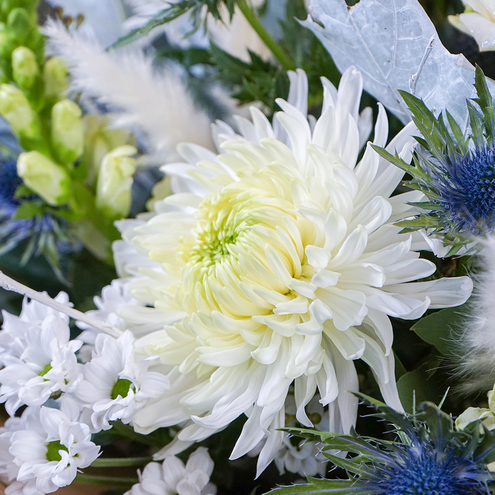 Snowflake Sparkle Flower Bouquet - Free Delivery!