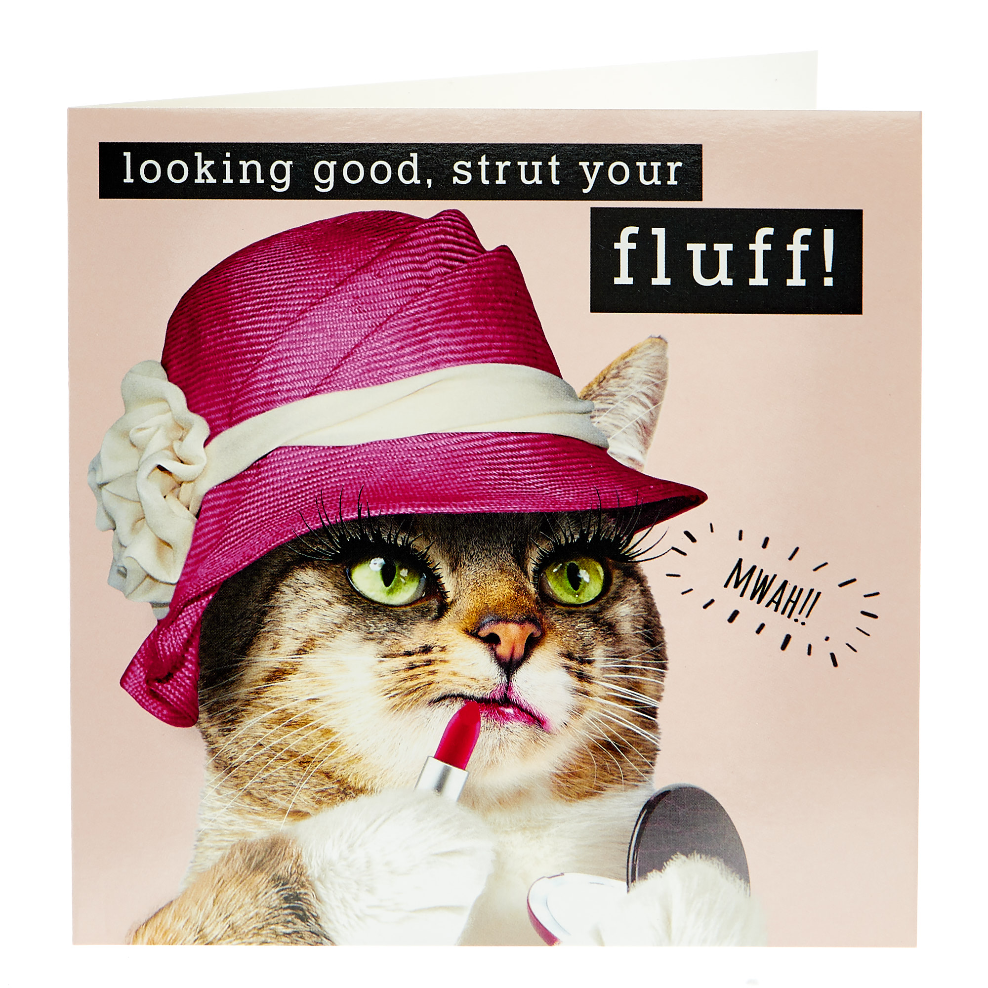 Any Occasion Card - Strut Your Fluff