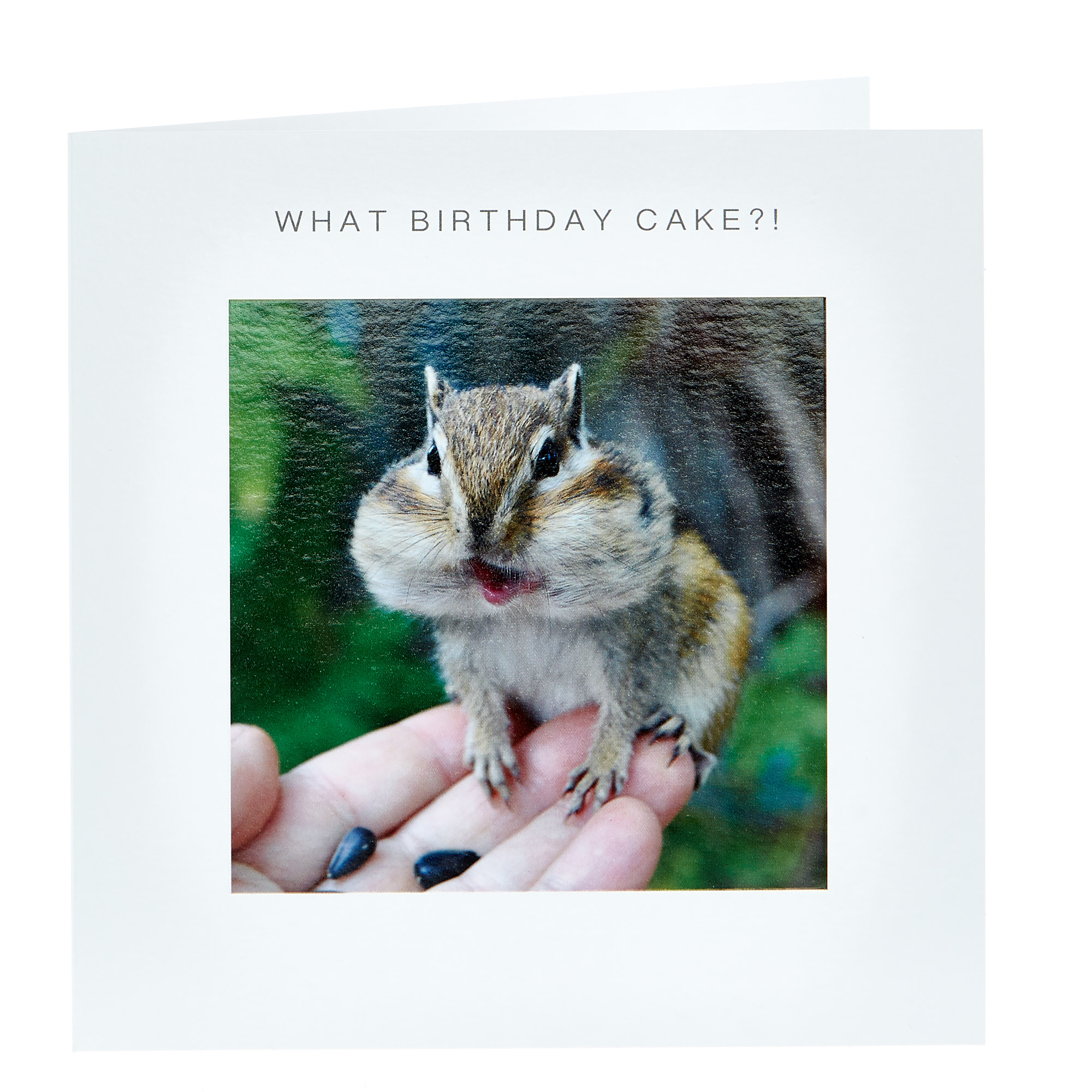 Buy Birthday Card What Cake Chipmunk For Gbp 099 Card Factory Uk