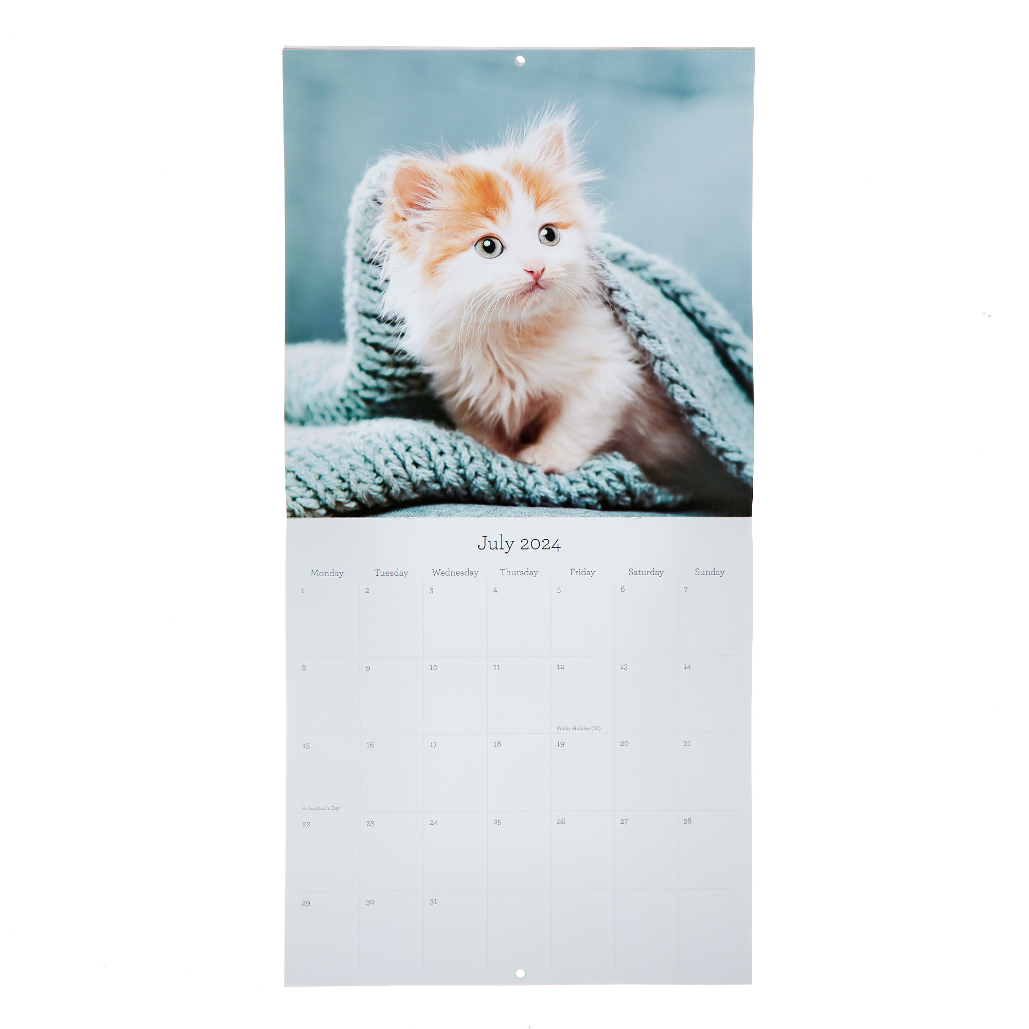 Cats 2024 Square Calendar