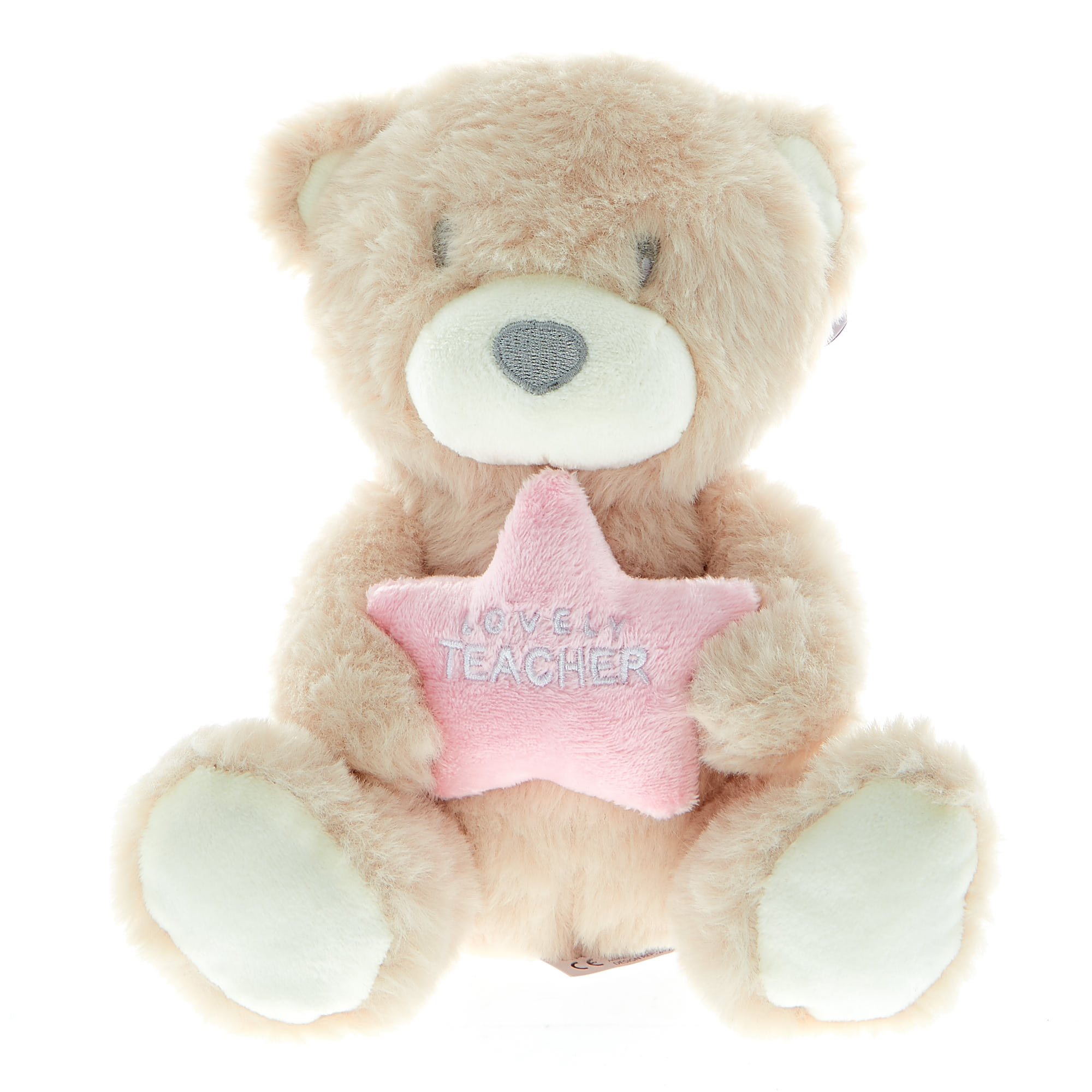 Buy Lovely Teacher Bear Soft Toy for GBP 2.99 | Card Factory UK