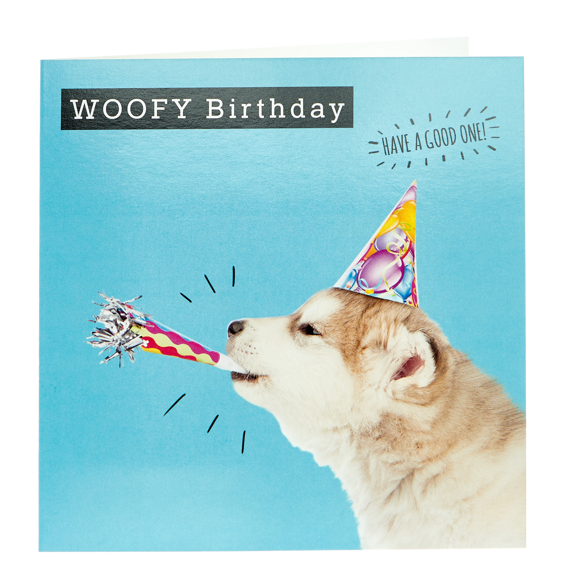 Birthday Card - Woofy Husky