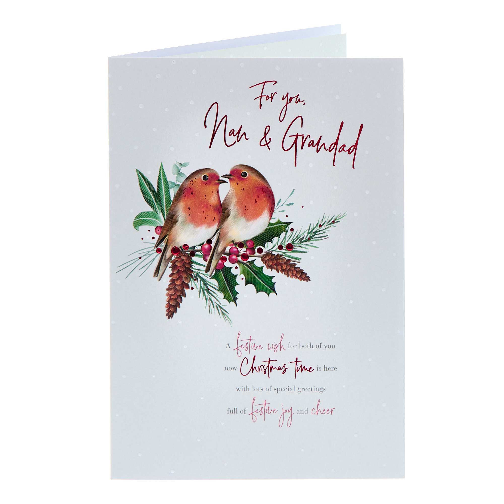 Nan & Grandad Robins & Holly Christmas Card