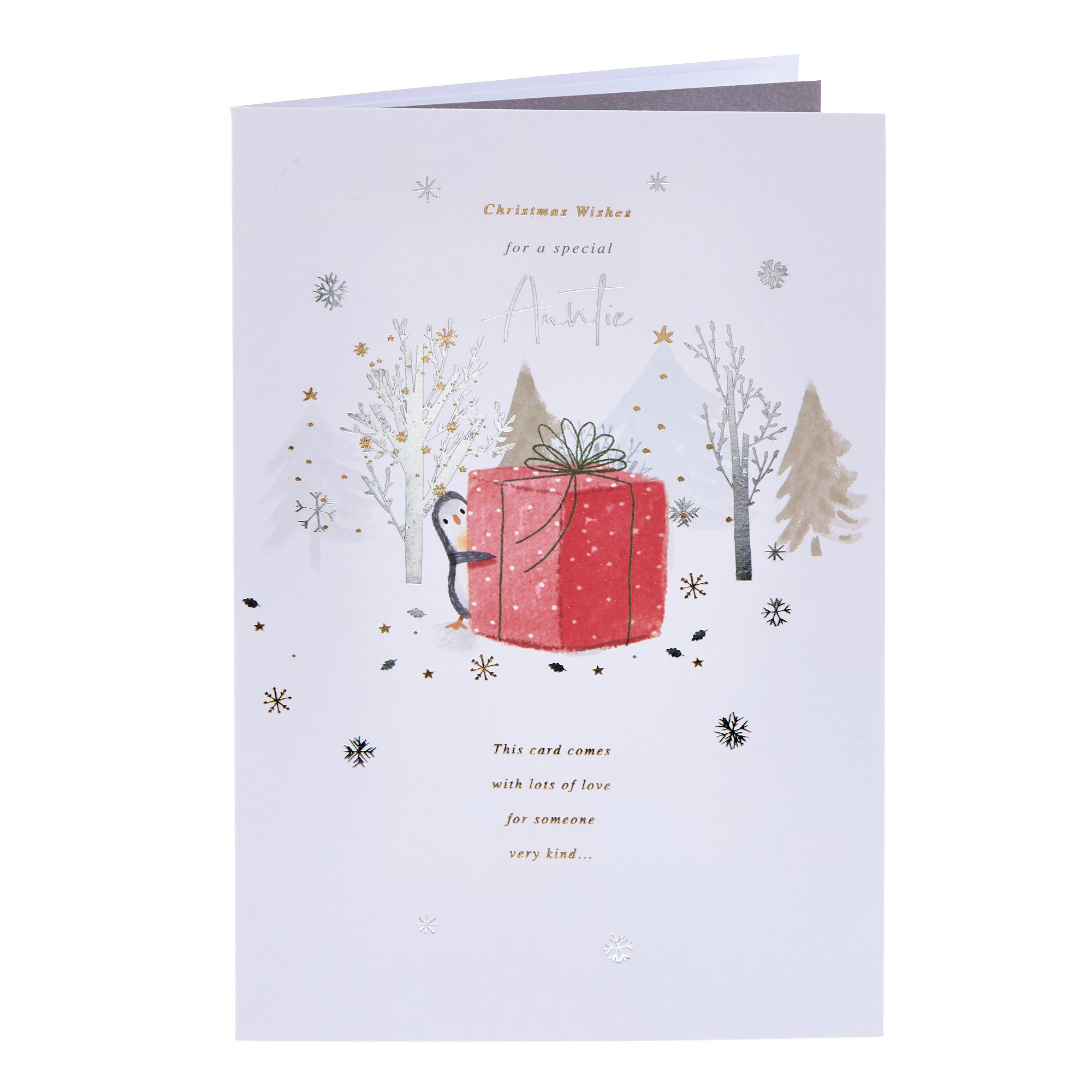 Special Auntie Penguin & Gift Christmas Card