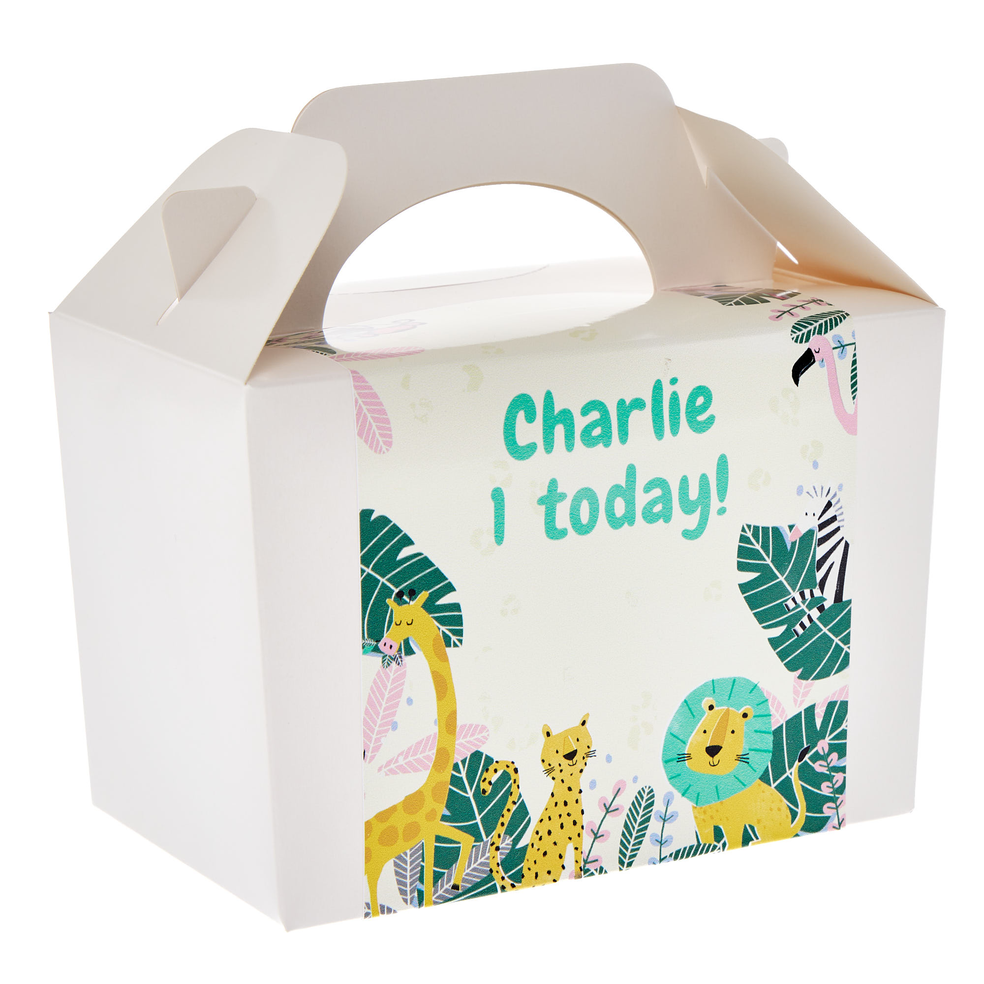 Jungle Animals Personalised Party Box