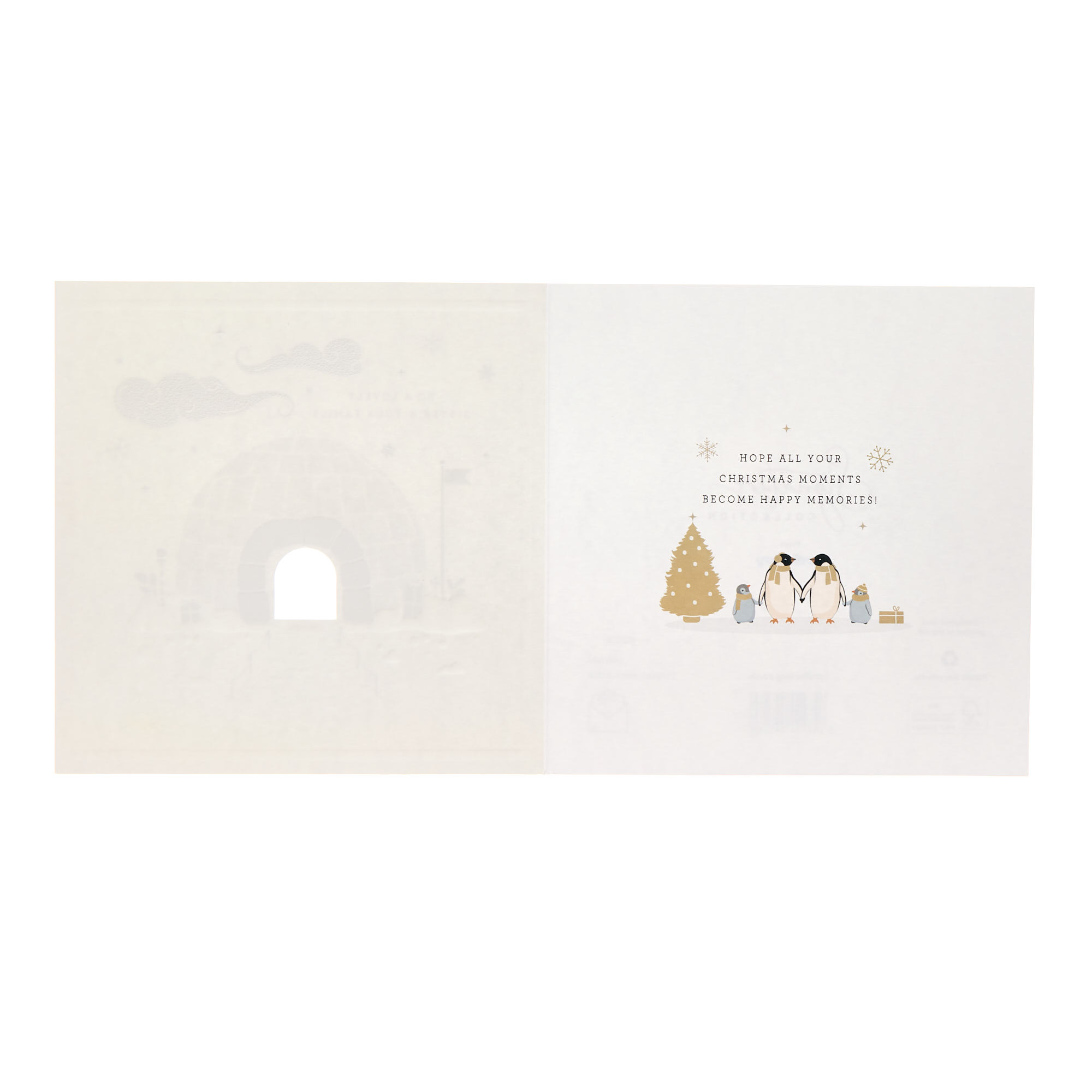 Sister & Family Igloo Christmas Card