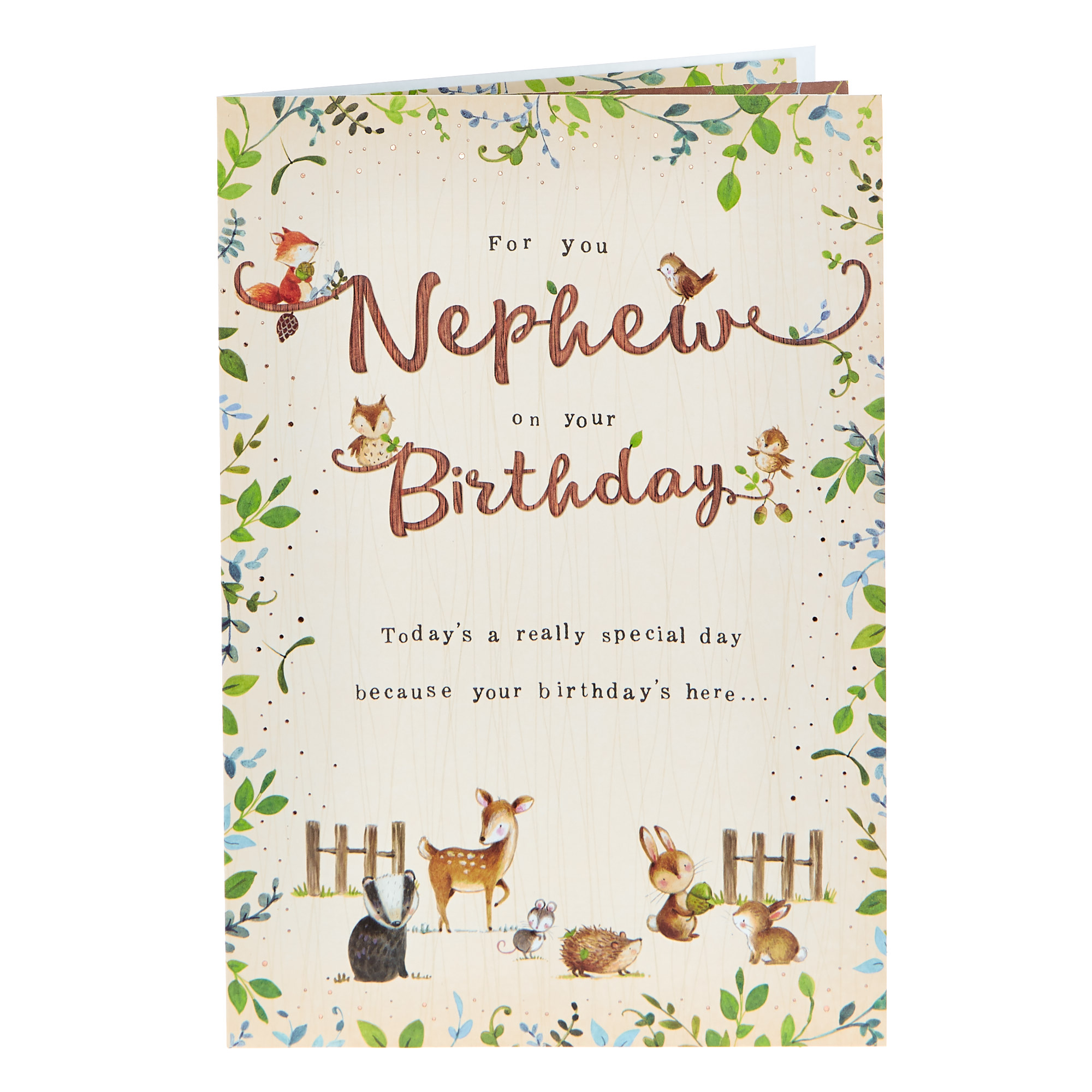 buy birthday card nephew woodland for gbp 099 card