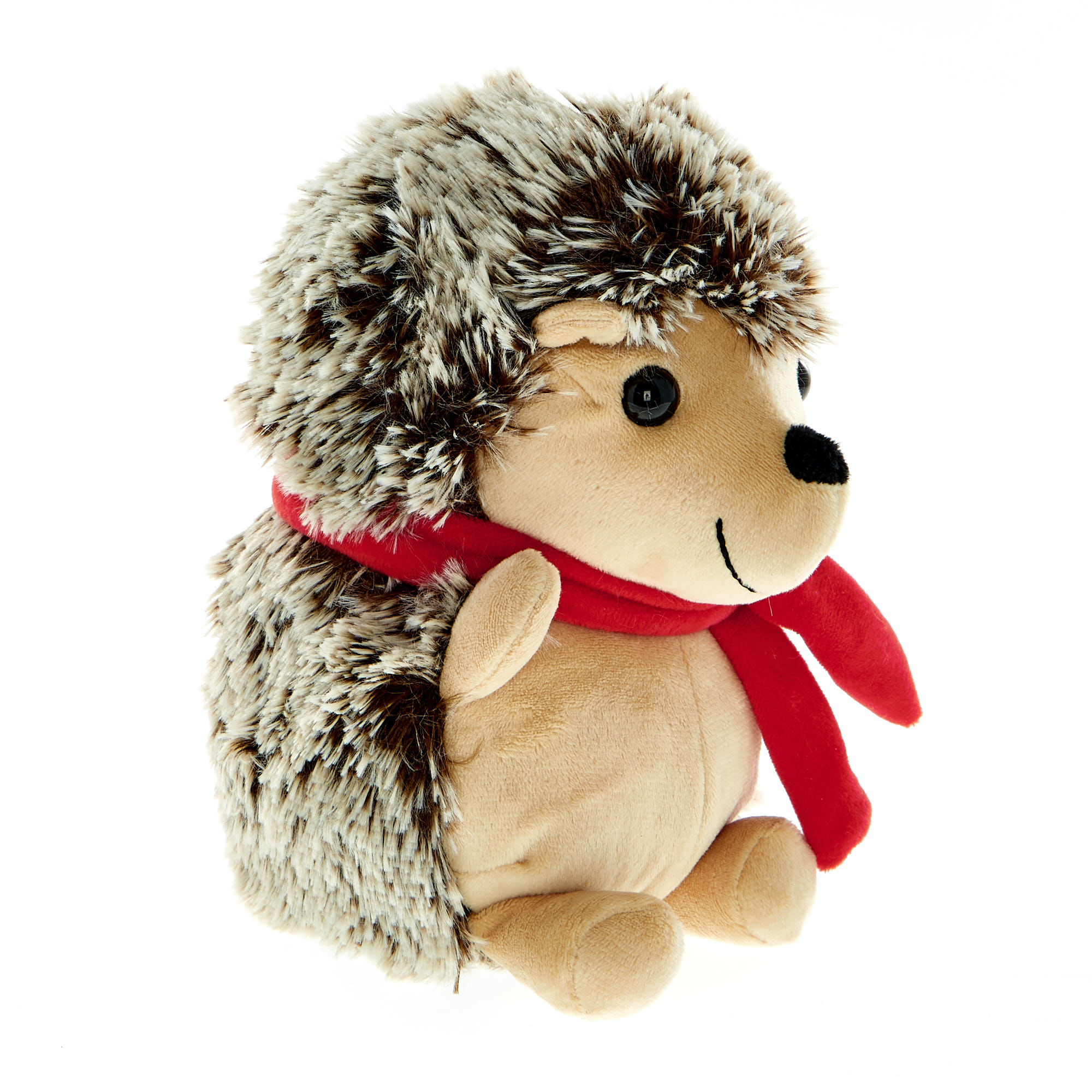 Small Hedgehog Soft Toy