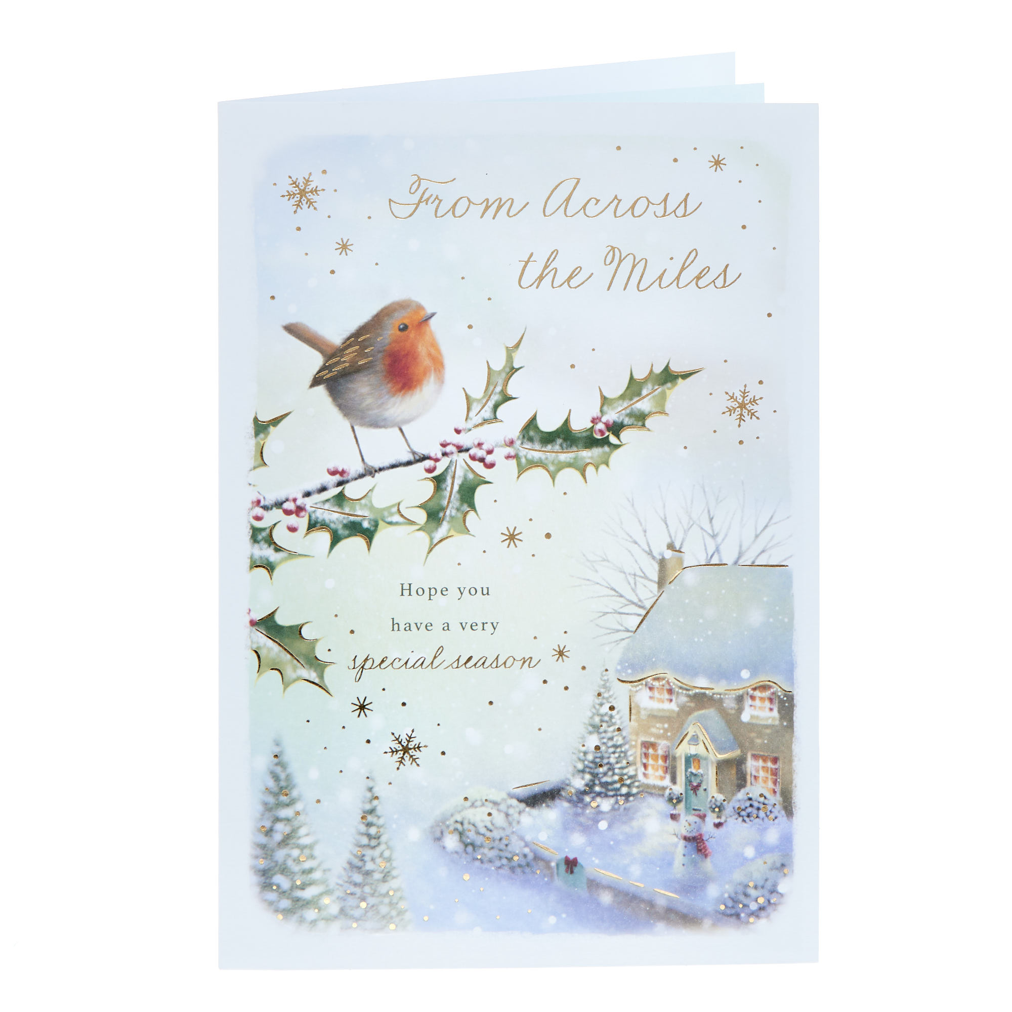 Across The Miles Robin Christmas Card