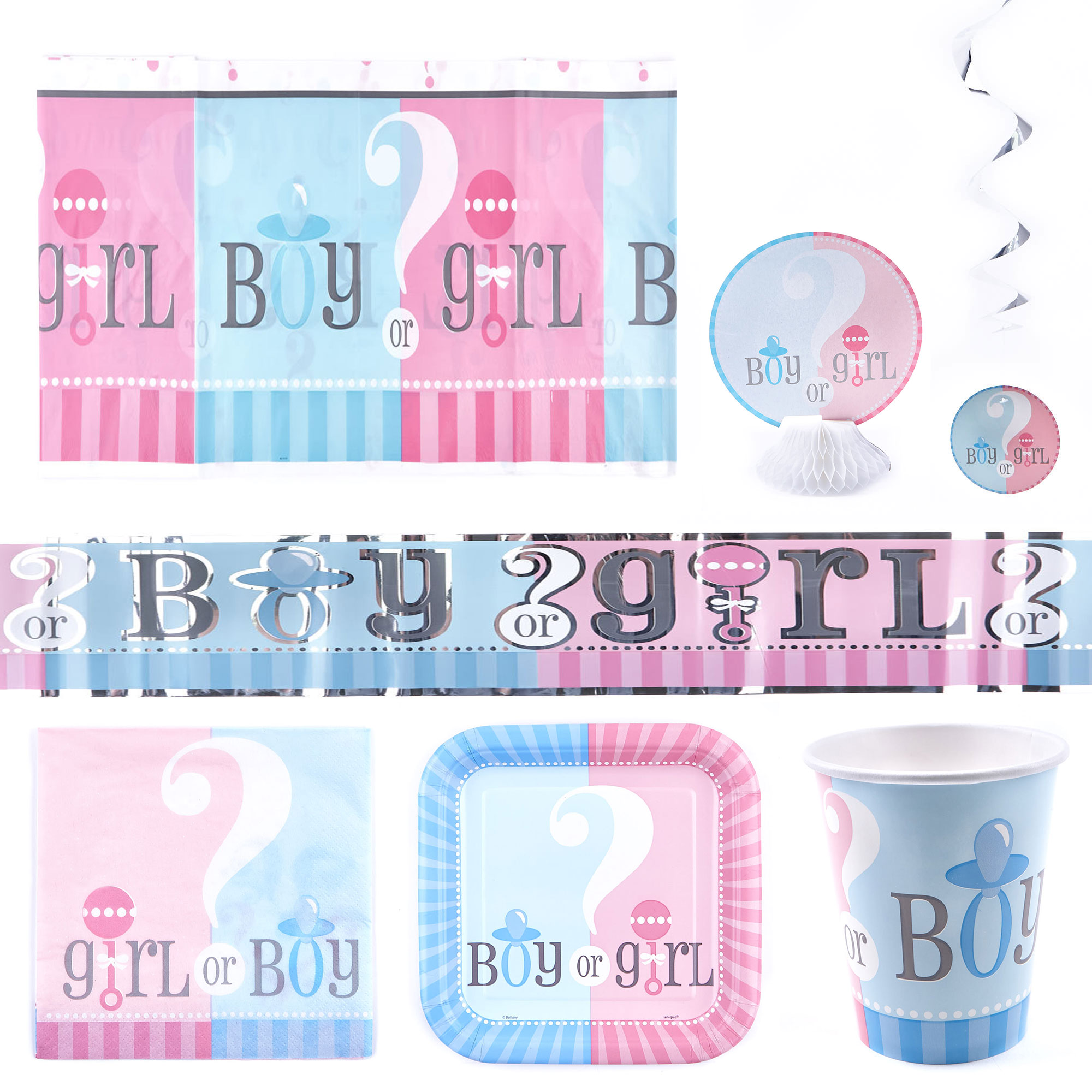 Gender Reveal Party Tableware Bundle - 16 Guests