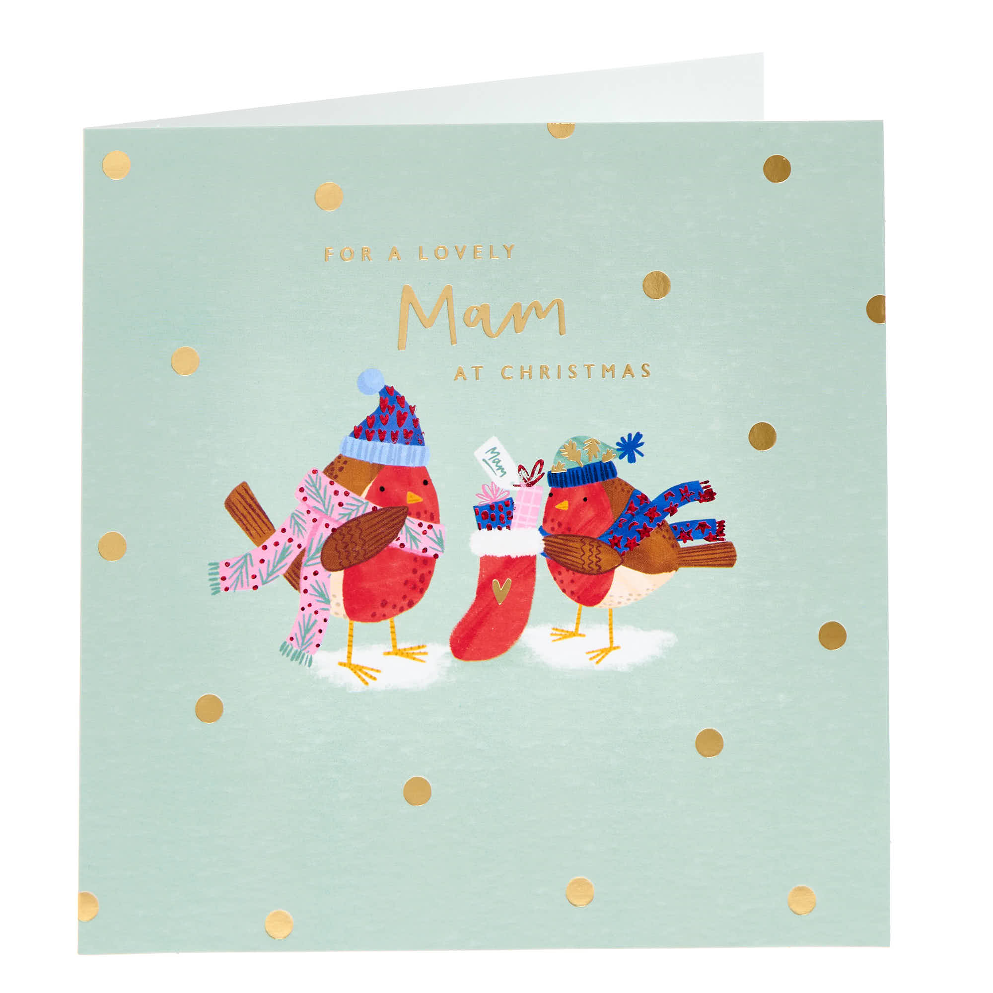 Mam Robins with Stockings Christmas Card