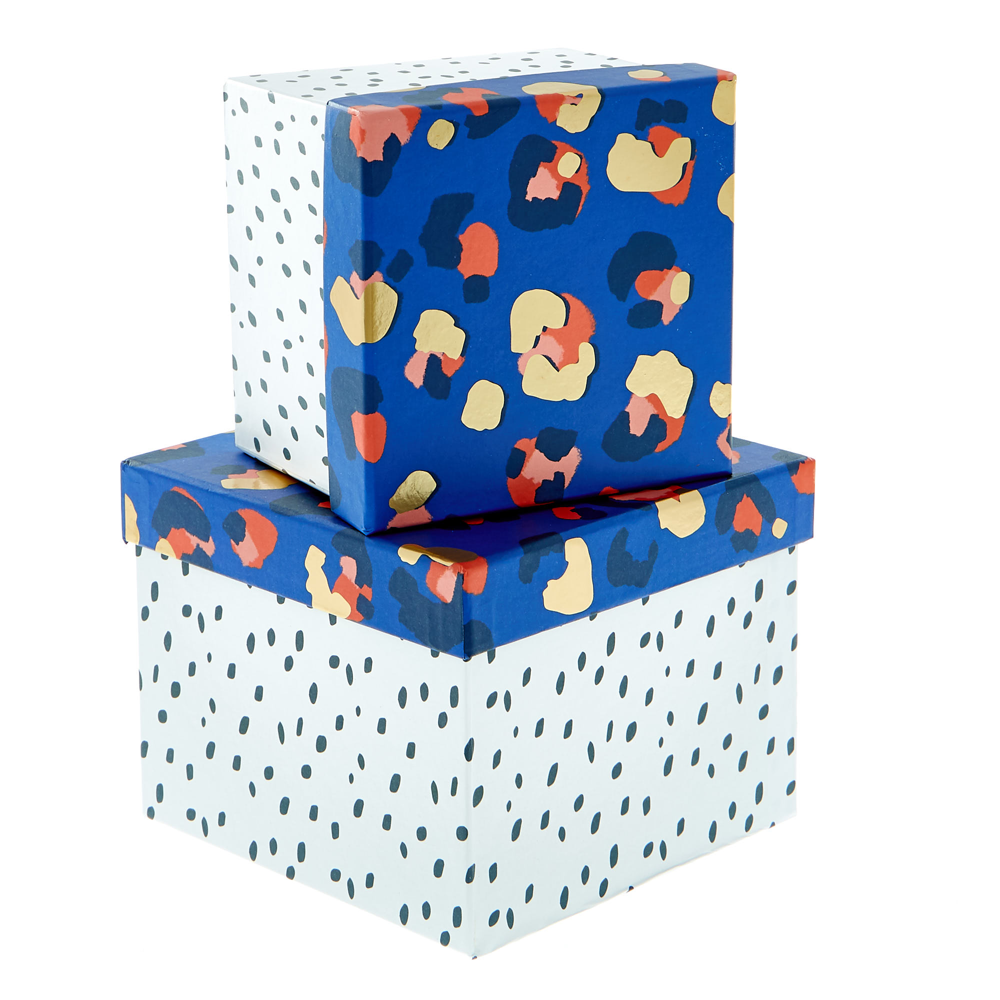 Animal Print Gift Boxes - Set Of 2