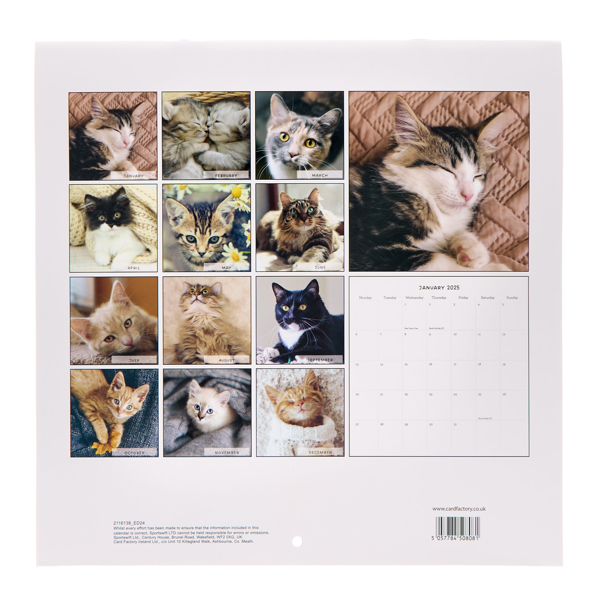 Cats 2025 Square Calendar