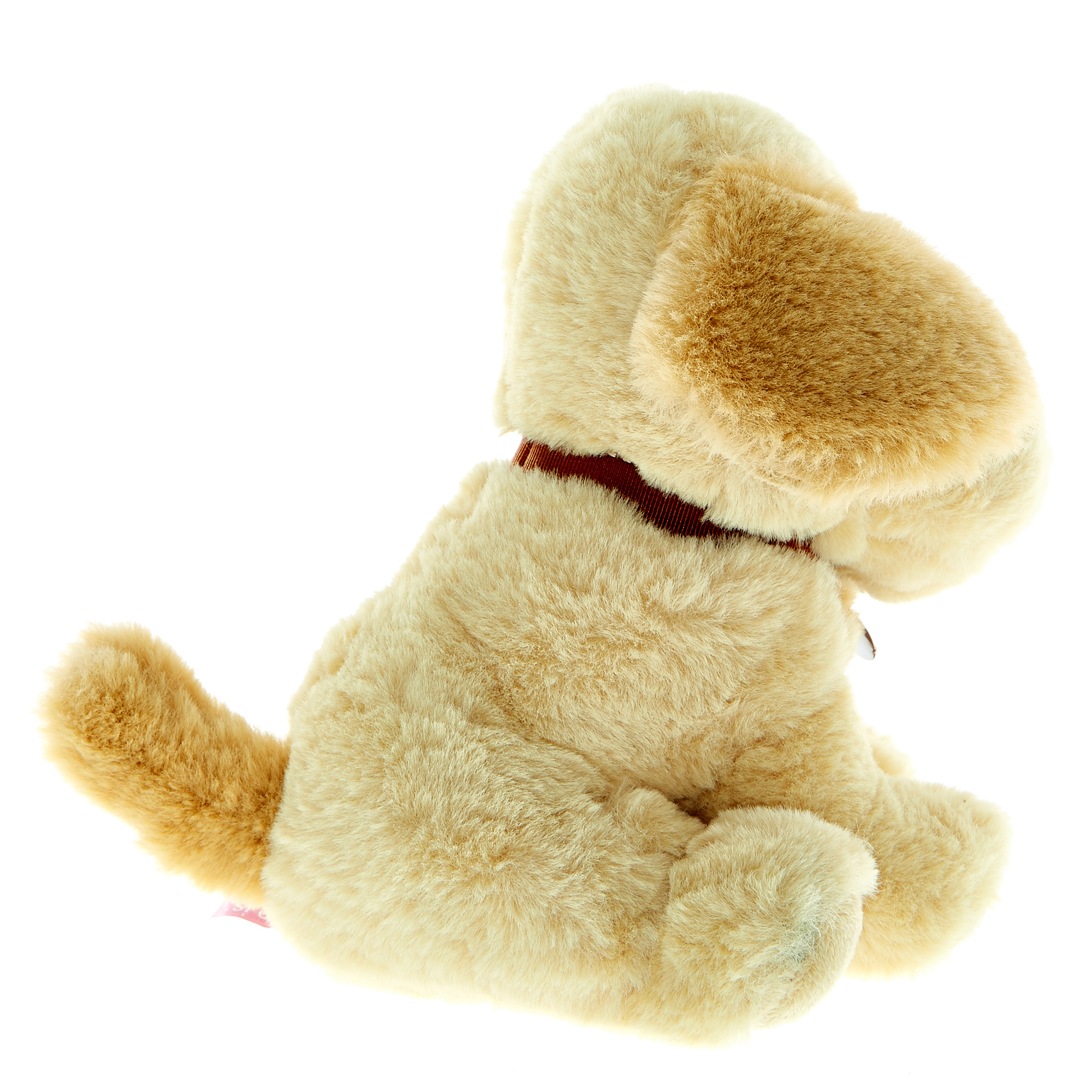 Golden Retriever Soft Toy