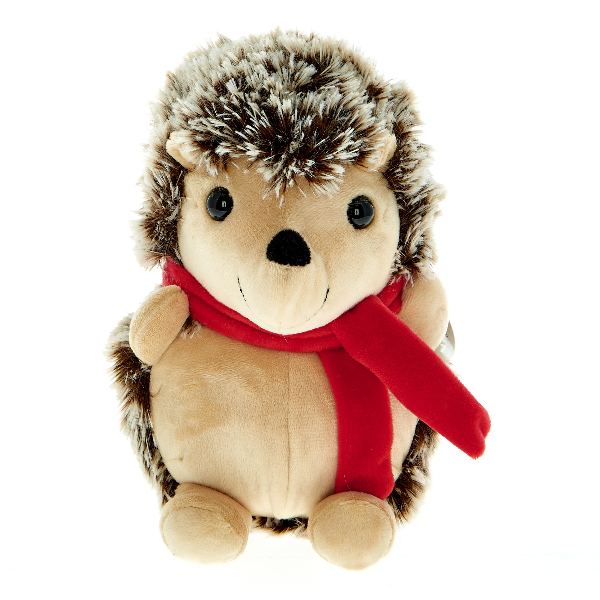 Small Hedgehog Soft Toy